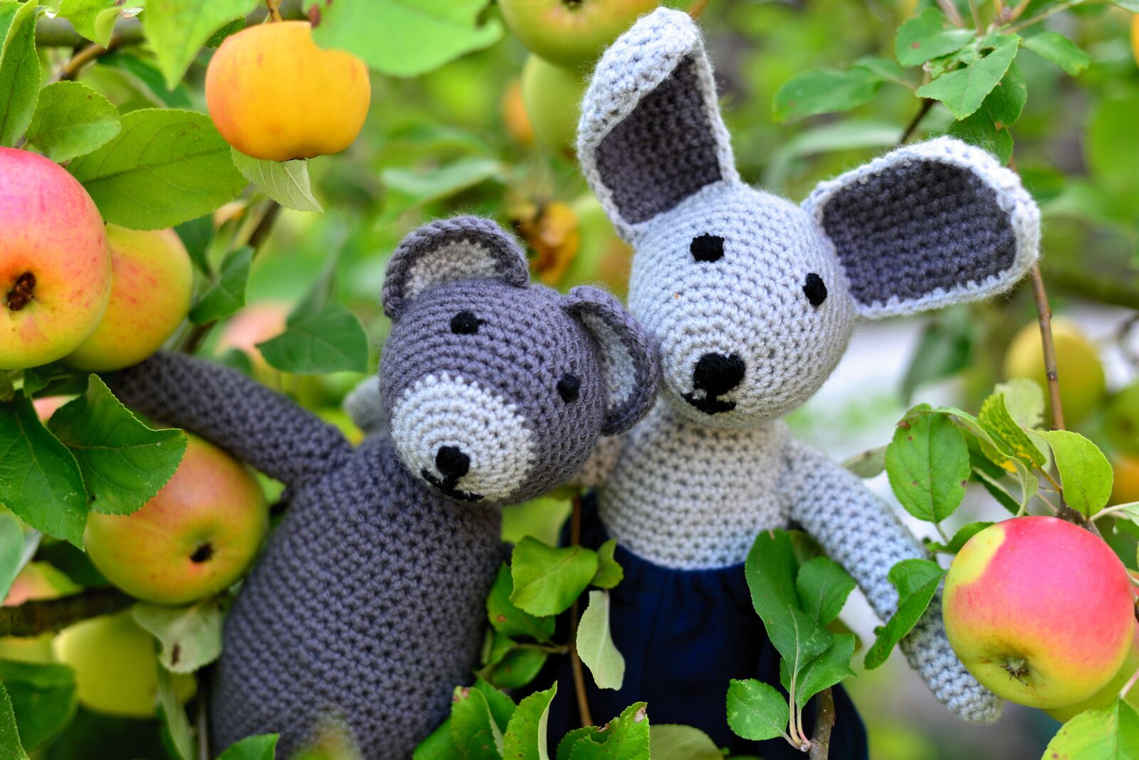 Nikon D610 sample photo. Teddy bear, teddy, hare photography
