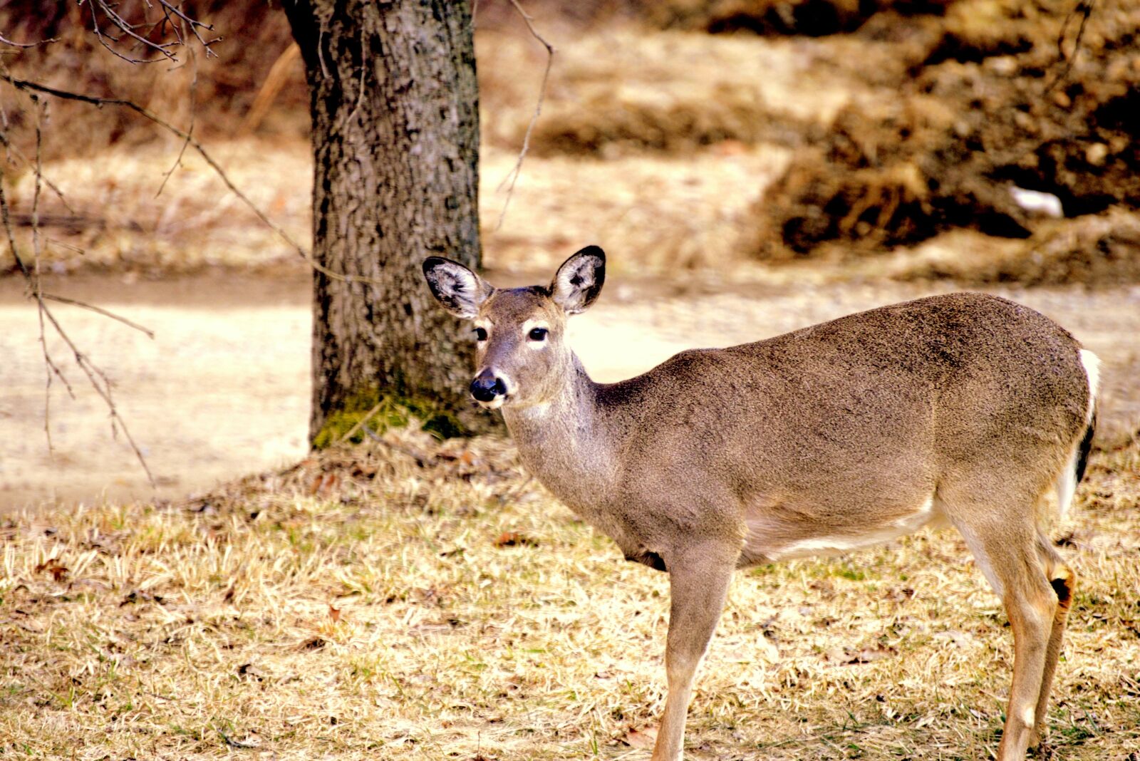 Nikon D800 sample photo. Xxxx, xxxw, xxxxx photography
