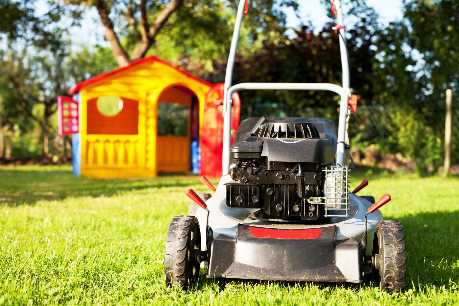 Canon EOS-1Ds Mark III + Canon EF 50mm F1.4 USM sample photo. Lawn mower, rush, lawn photography