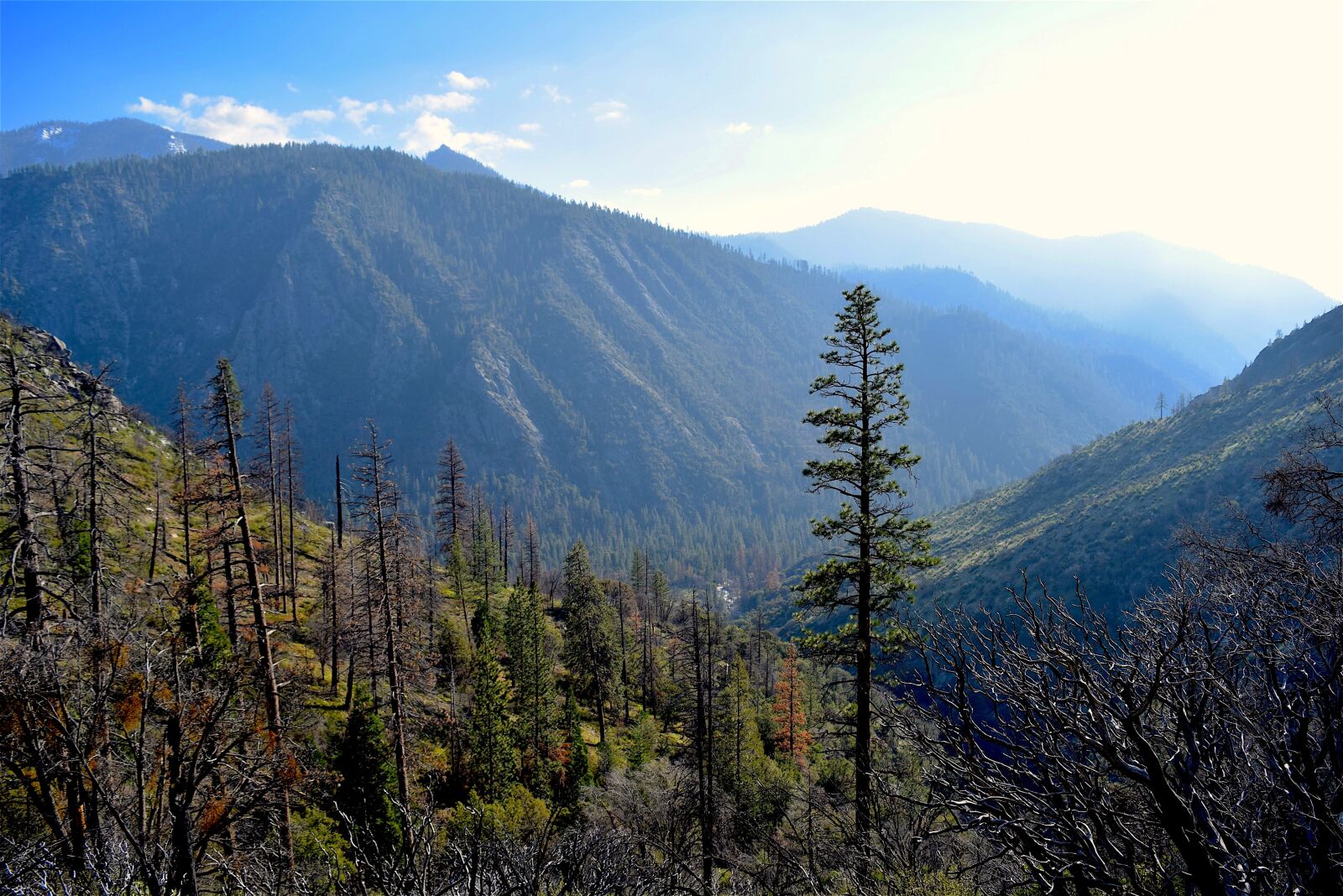 Nikon D3300 sample photo. Mountains, nature, trees photography