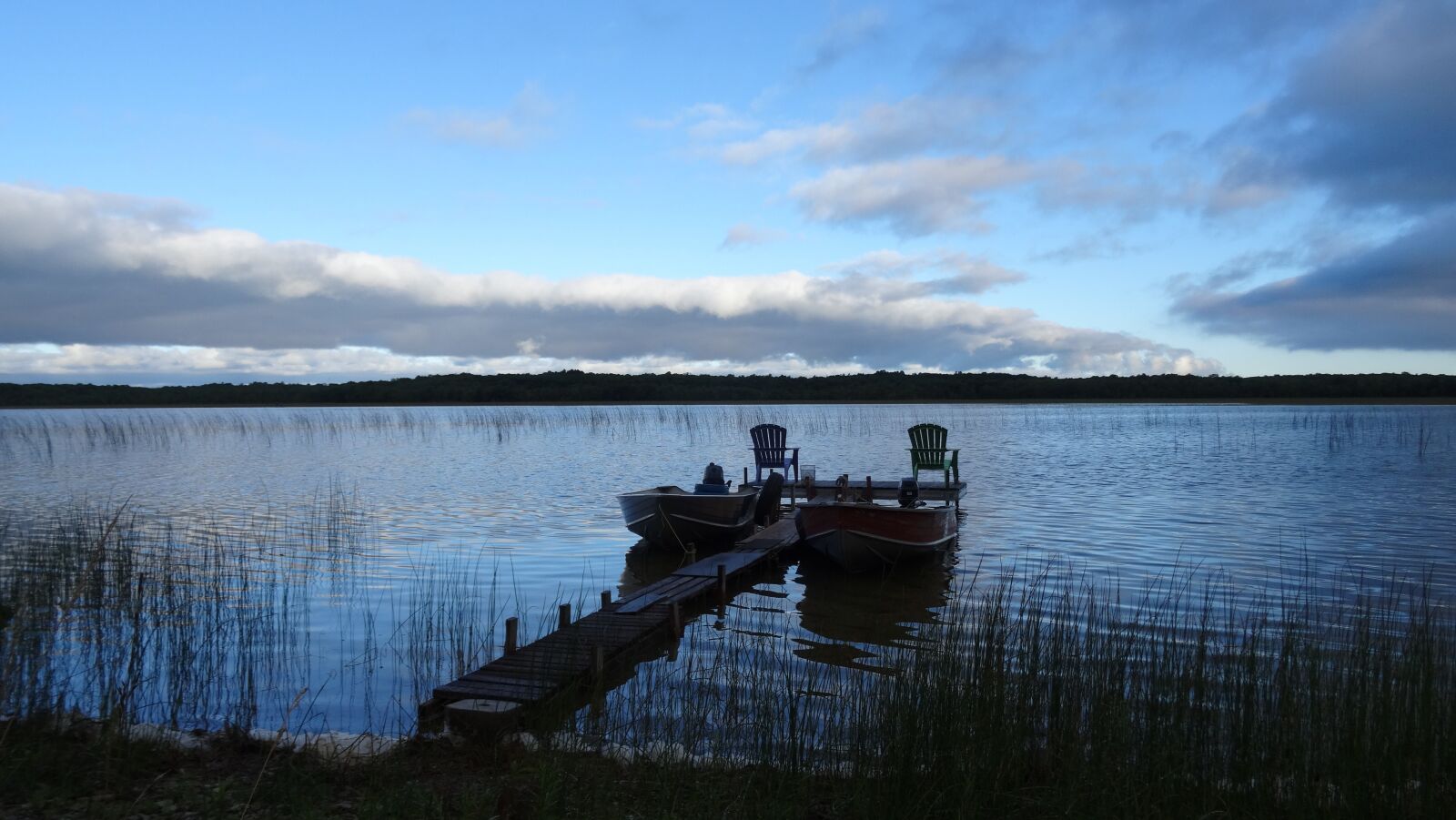 Sony DSC-HX50 sample photo. Web, swamp, boardwalk photography