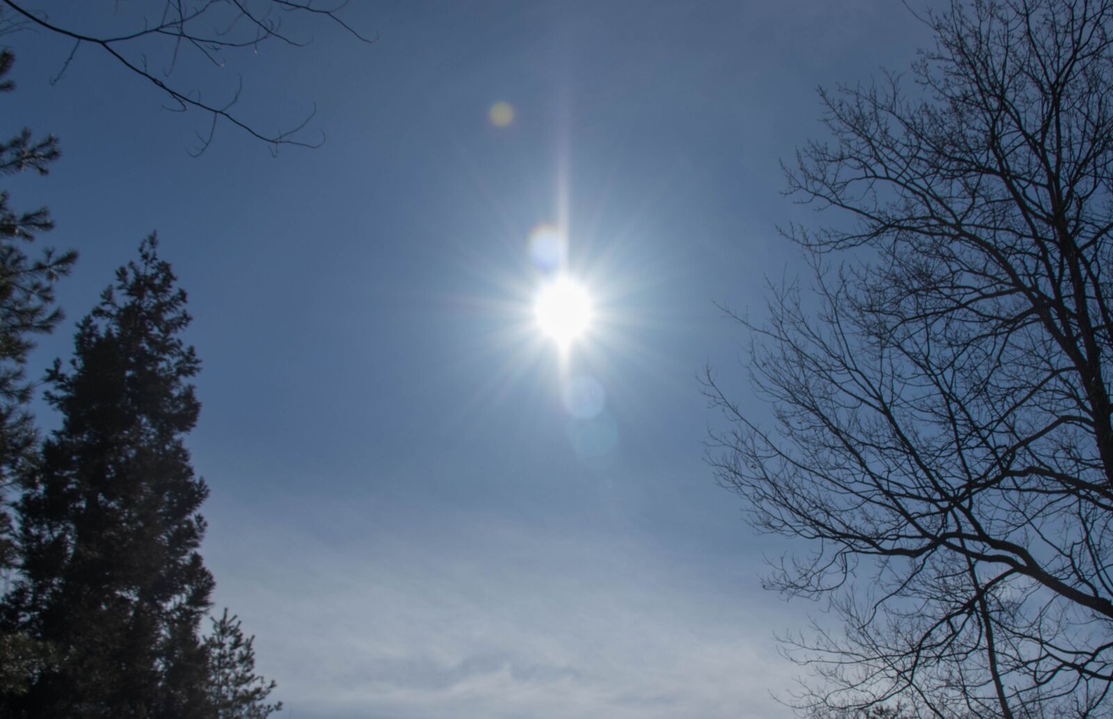 Canon EOS 80D sample photo. Sun, winter, sky photography