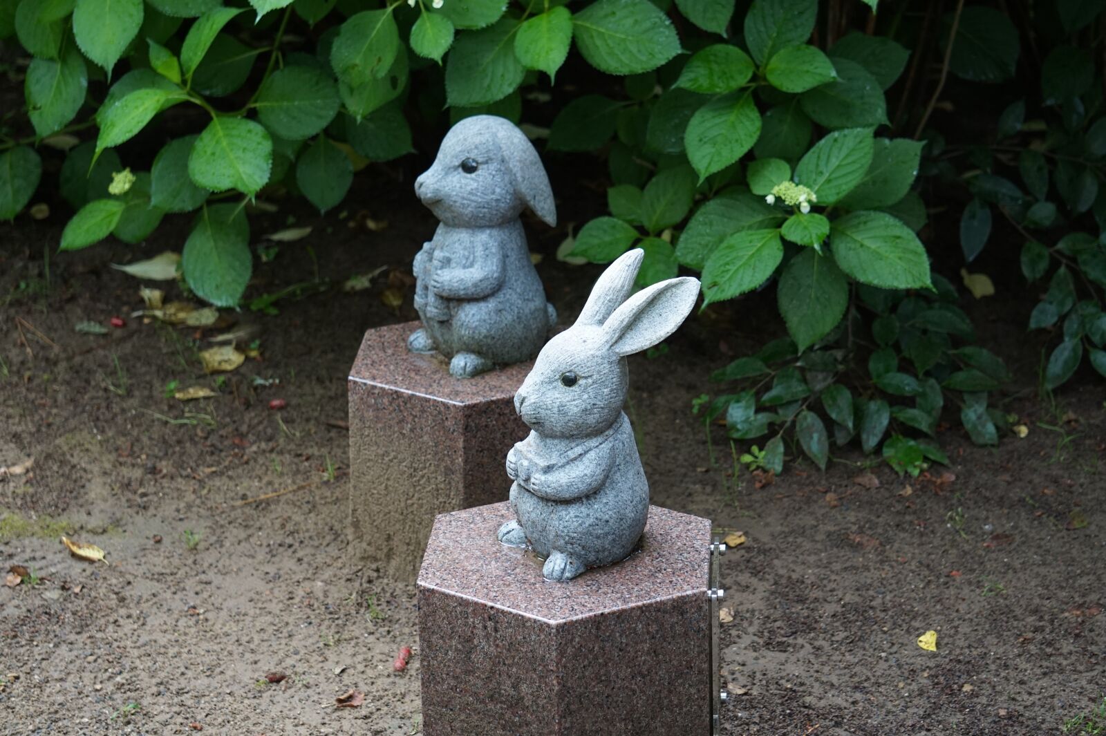 E 55-210mm F4.5-6.3 OSS sample photo. "Rabbit, statue, garden" photography