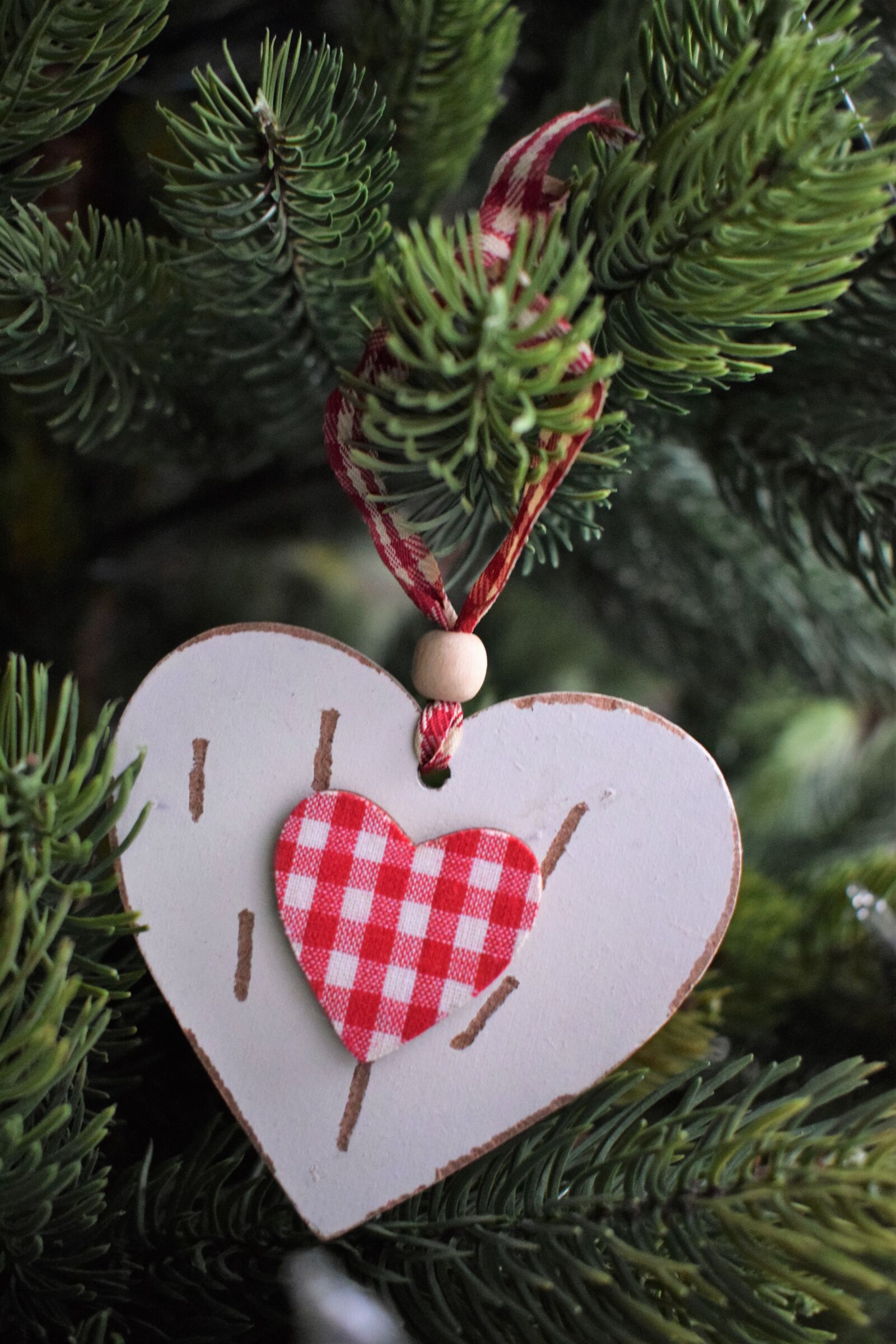 Nikon D3300 sample photo. Christmas, christmas time, heart photography