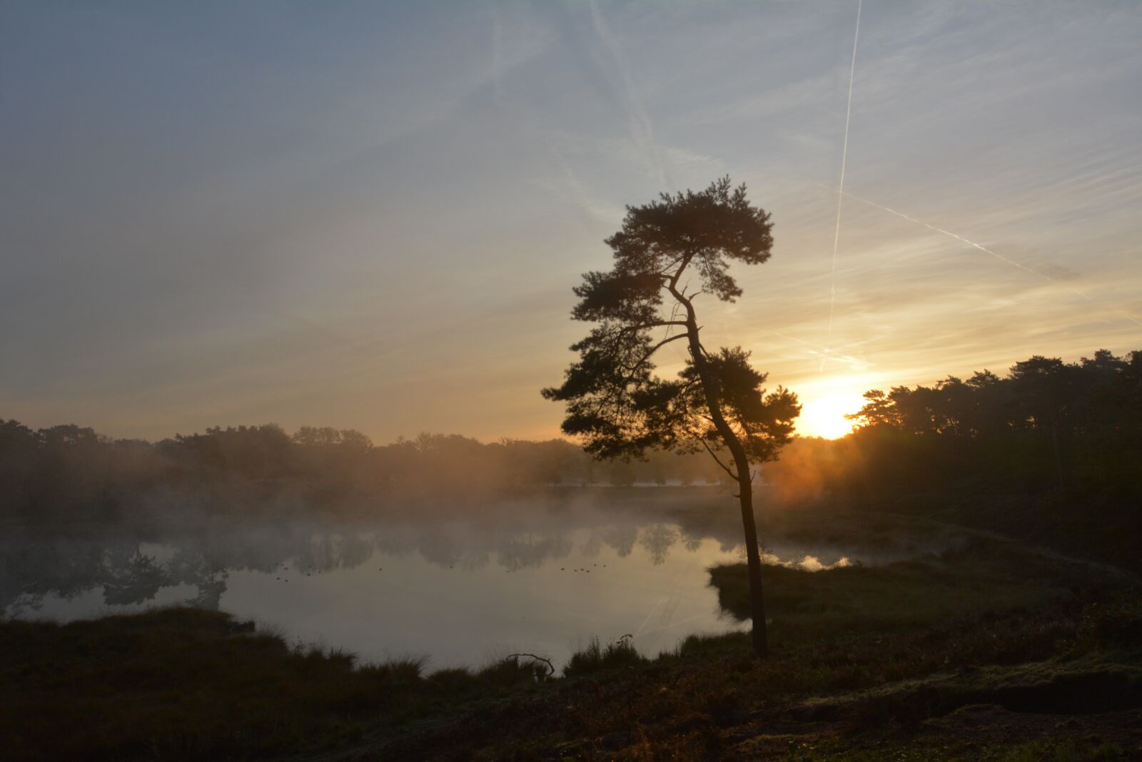 Nikon D7100 sample photo. Heide, sunrise, sun photography