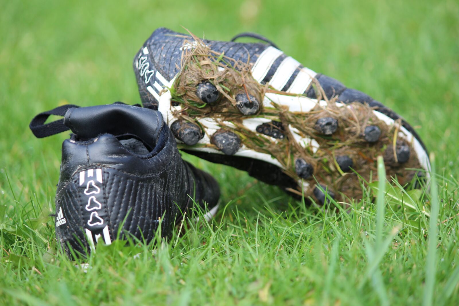 Canon EOS 600D (Rebel EOS T3i / EOS Kiss X5) sample photo. Rugby boots, shoes, sport photography