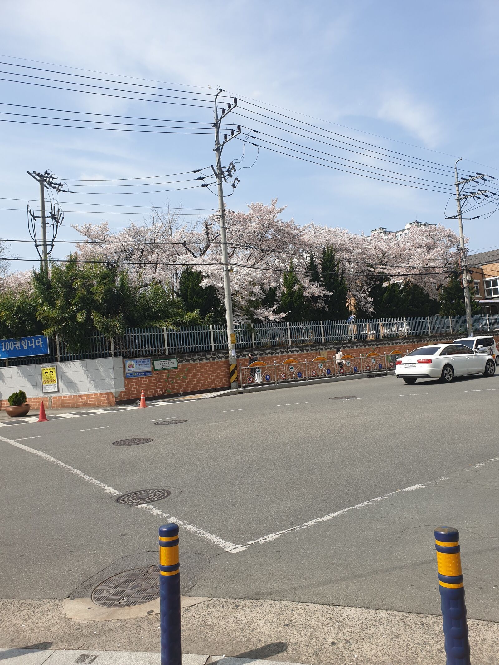 Samsung Galaxy S9+ sample photo. Republic of korea, spring photography