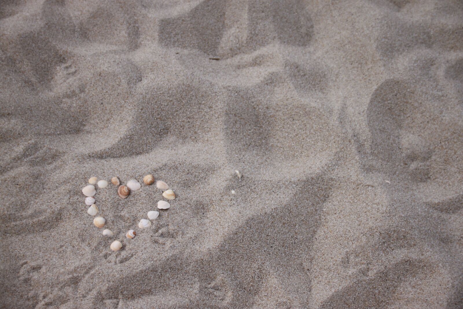 Canon EOS 500D (EOS Rebel T1i / EOS Kiss X3) sample photo. Heart, shell, beach photography