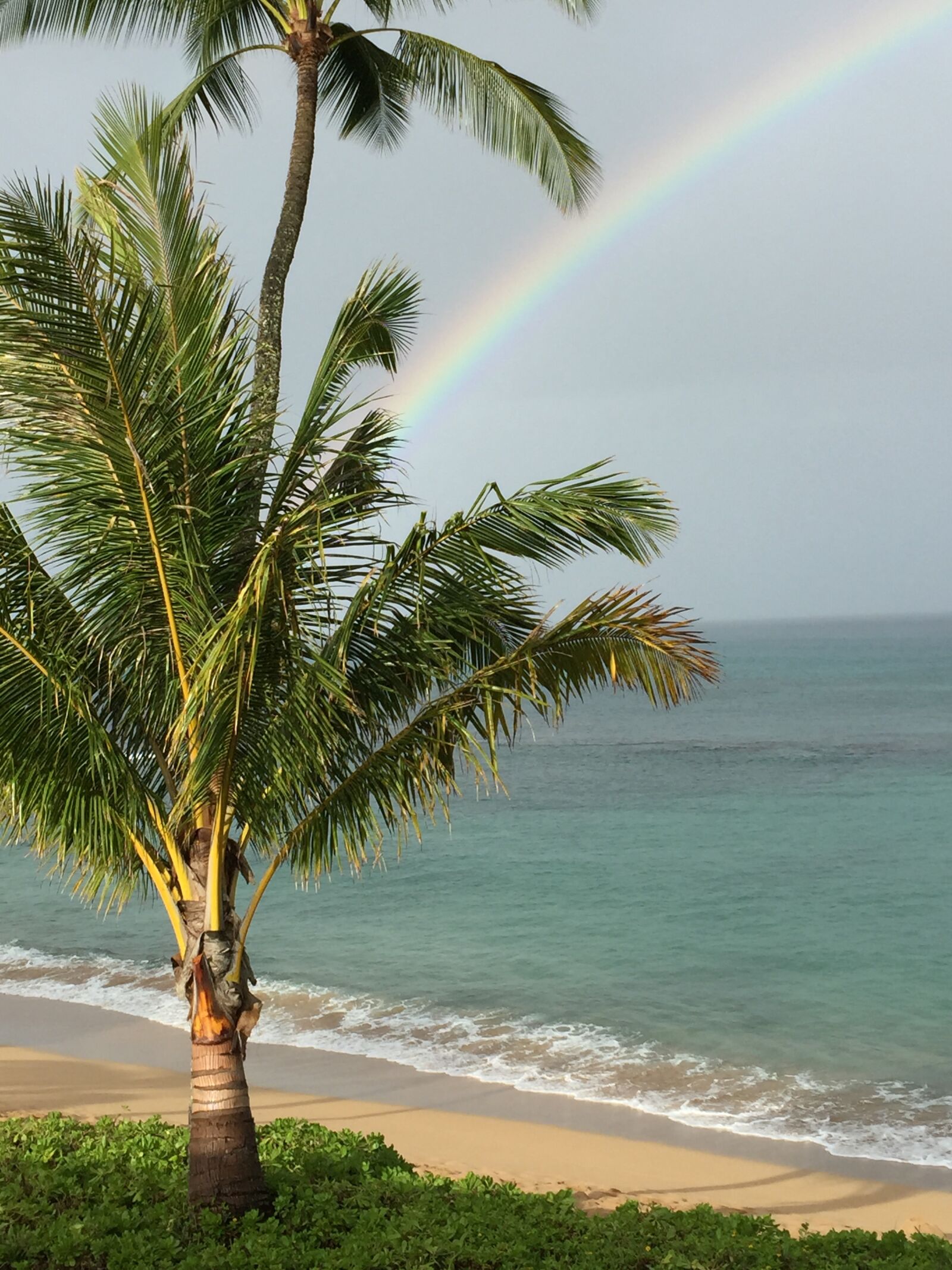 iPhone 6 Plus back camera 4.15mm f/2.2 sample photo. Hawaii, maui, rainbow photography
