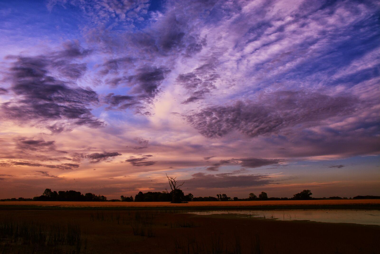 Nikon D5200 sample photo. Sunset, landscape, clouds photography