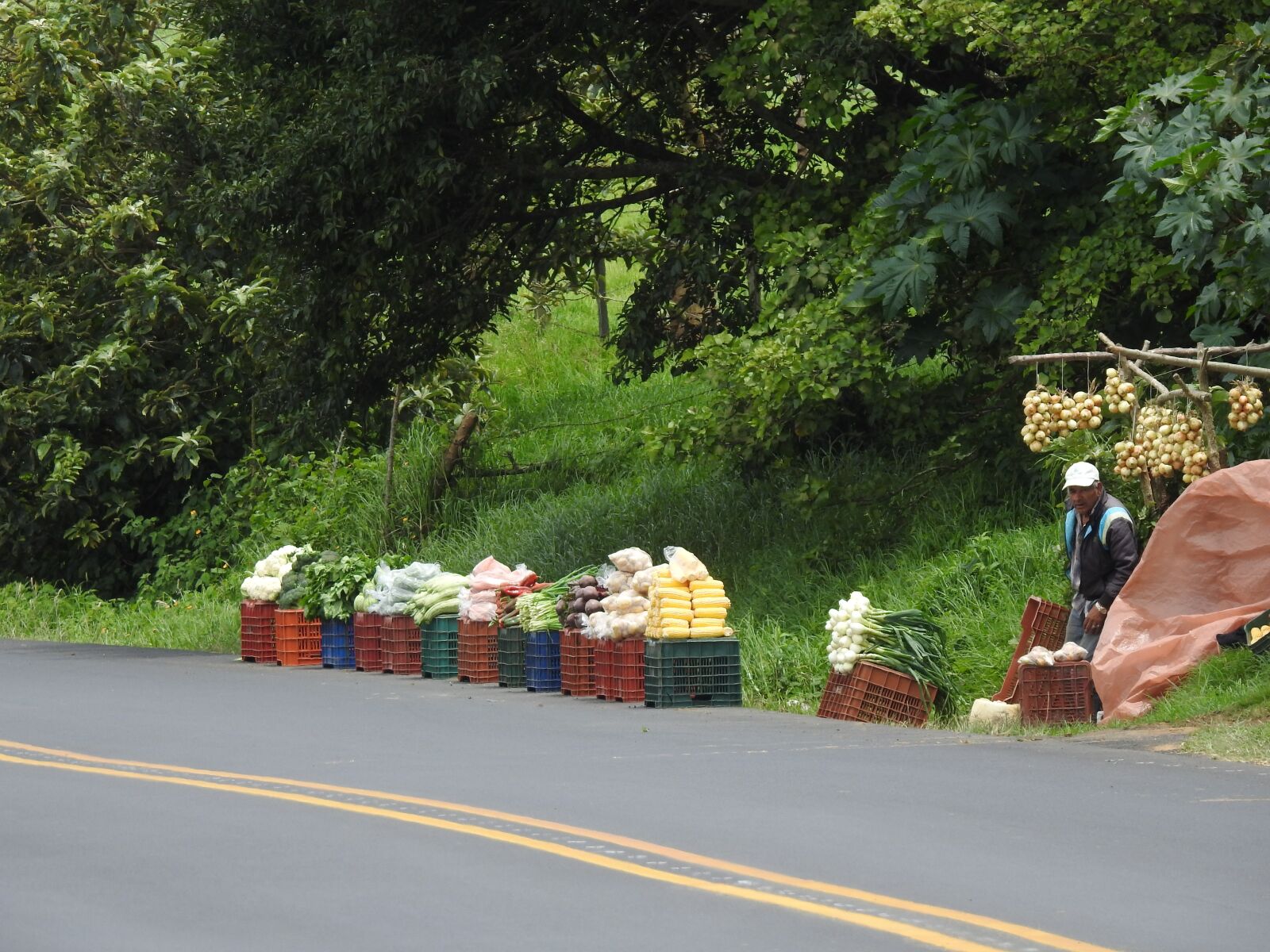 Nikon Coolpix P900 sample photo. Farmer, vegetables, vegetable photography