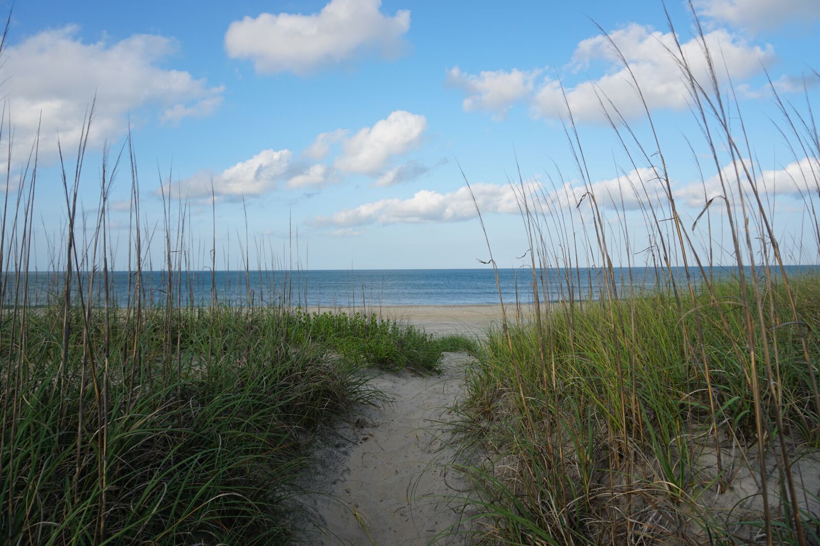 Sony a6300 sample photo. Beach, ocean, sea photography