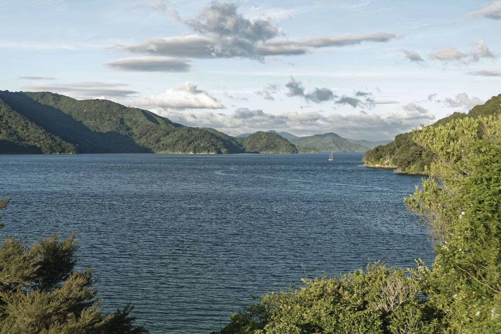 Nikon D500 sample photo. New zealand, ngakuta bay photography