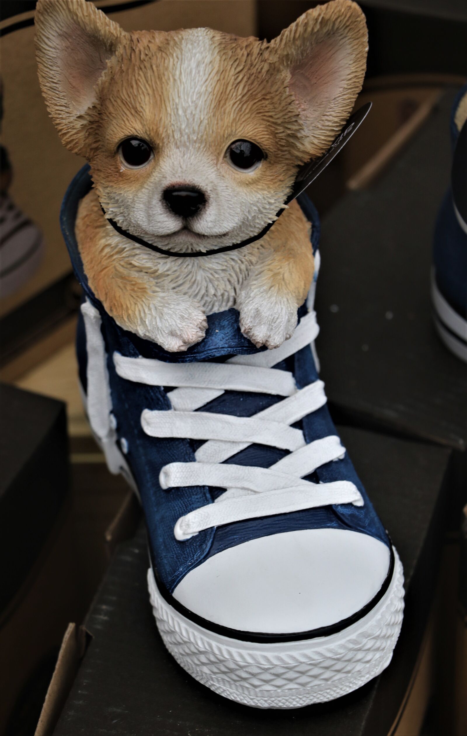 Canon EOS 7D Mark II sample photo. Puppy, shoe, ceramic photography