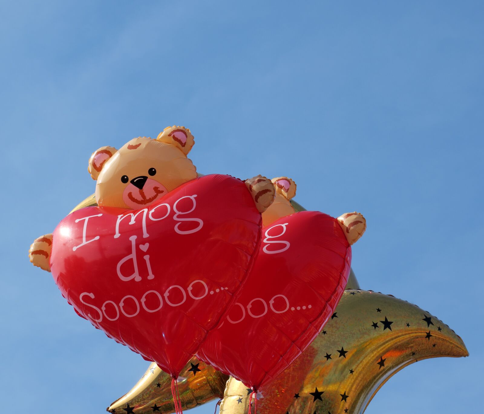 Canon PowerShot G3 X sample photo. Balloon, love, heart photography