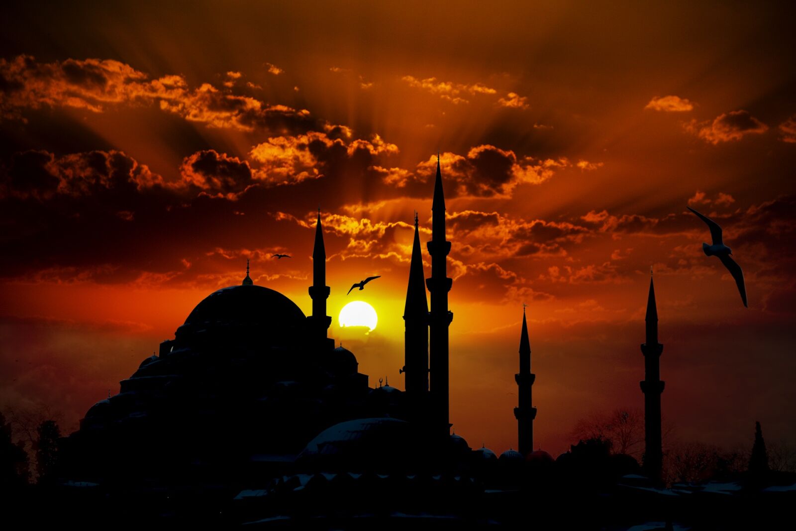 Canon EOS 70D sample photo. Suleymaniye mosque, mosque, emin photography