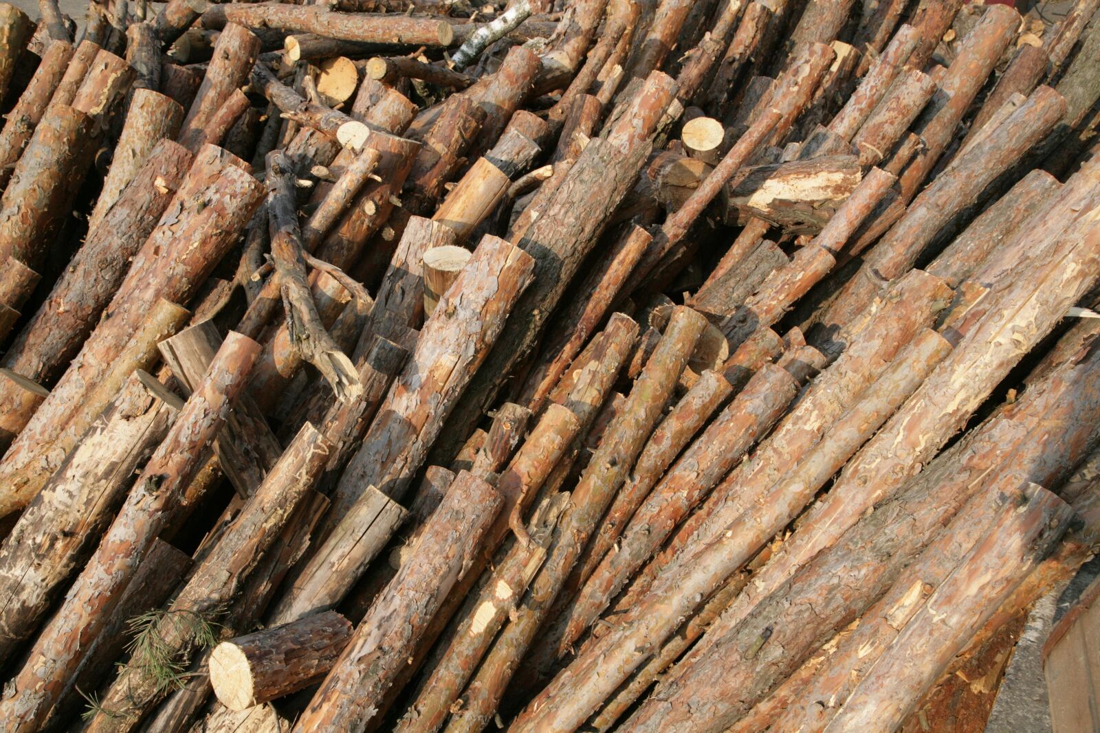 Canon EOS-1Ds Mark II sample photo. Coal, firewood, black photography