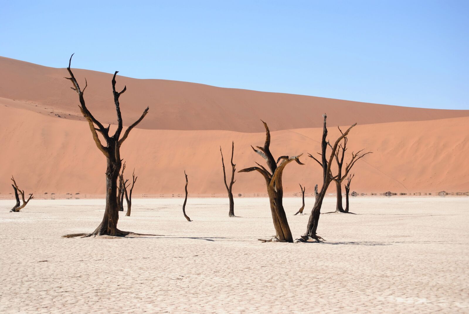 Nikon D3000 sample photo. Dead vlei, namibia, desert photography