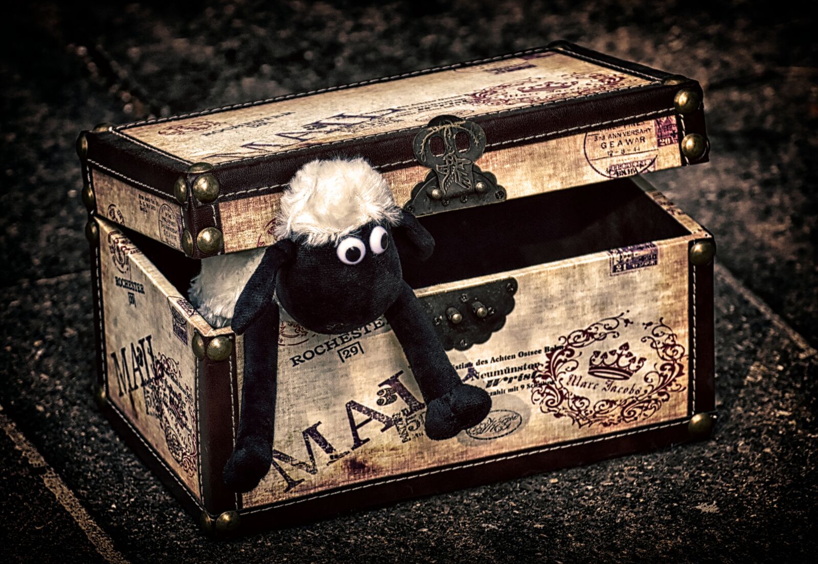 Nikon D7200 sample photo. Sheep, chest, box photography
