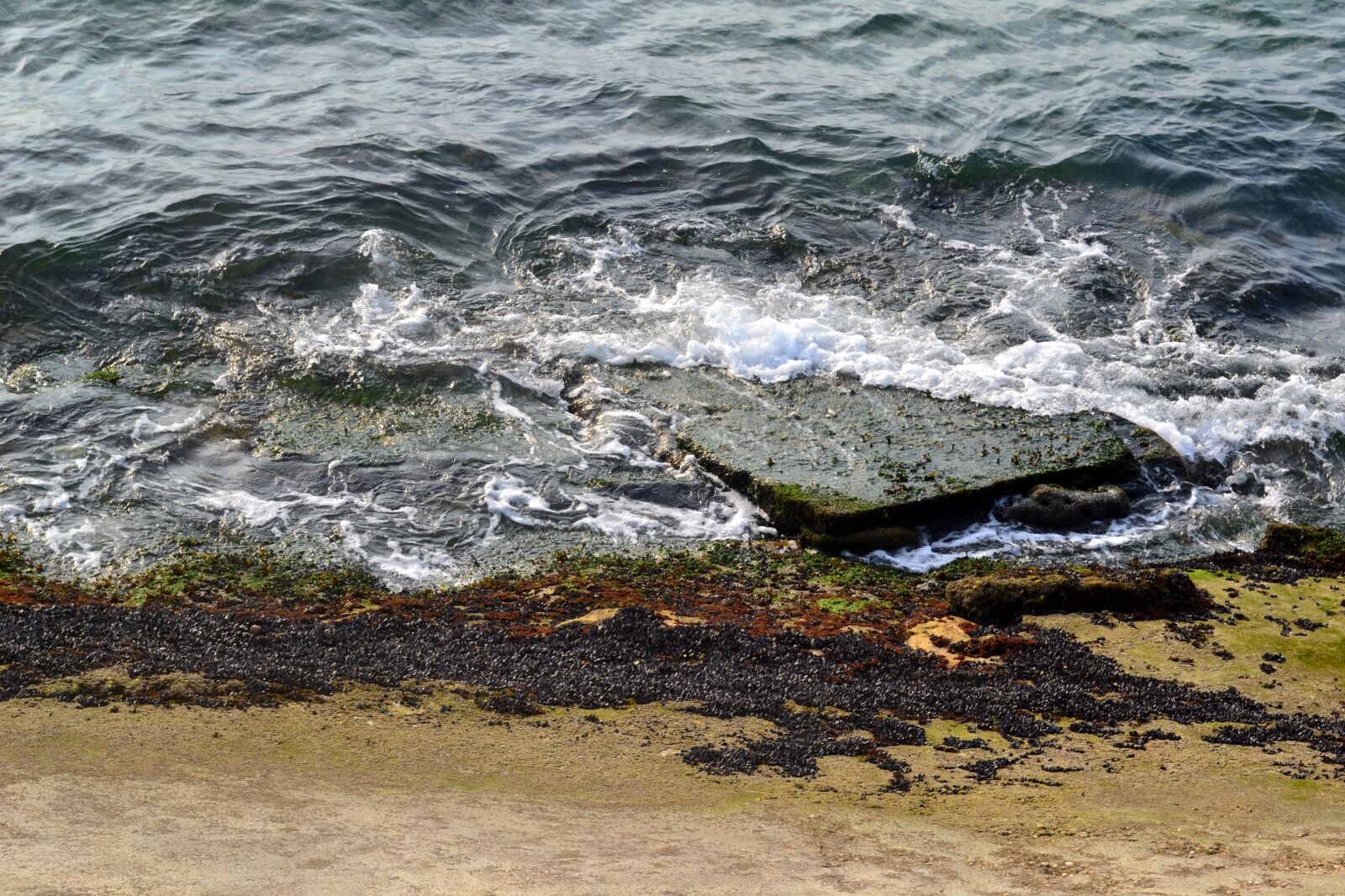 Nikon D3100 sample photo. Sea, beach, foam photography