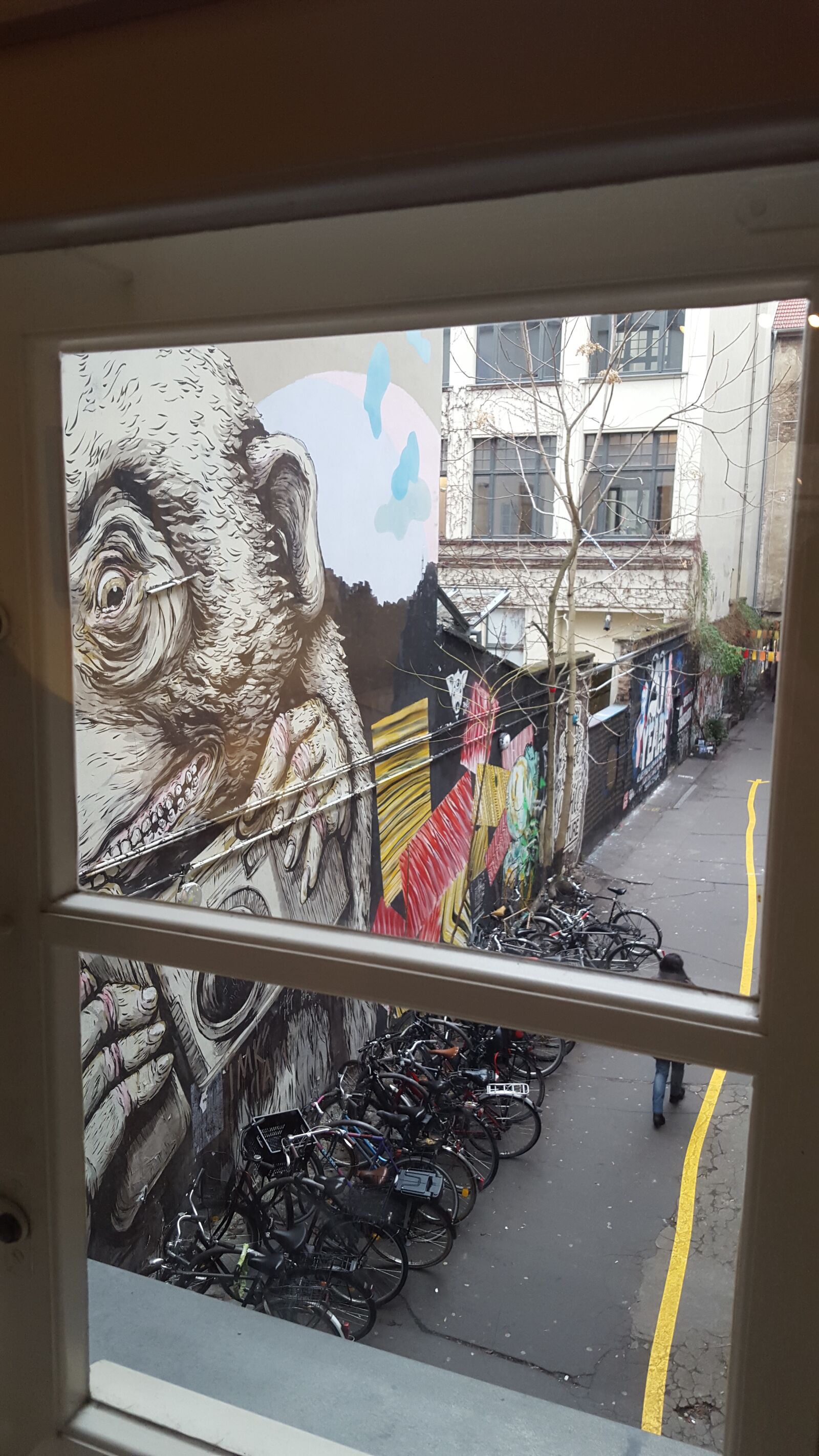 Samsung Galaxy S6 sample photo