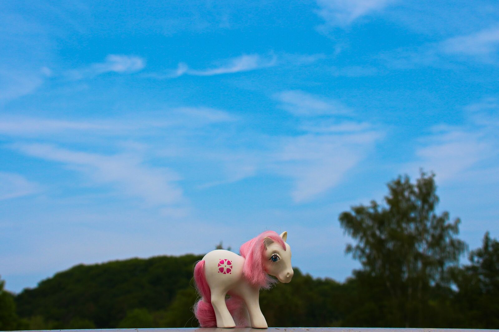 Canon EOS 700D (EOS Rebel T5i / EOS Kiss X7i) sample photo. My little pony, toys photography
