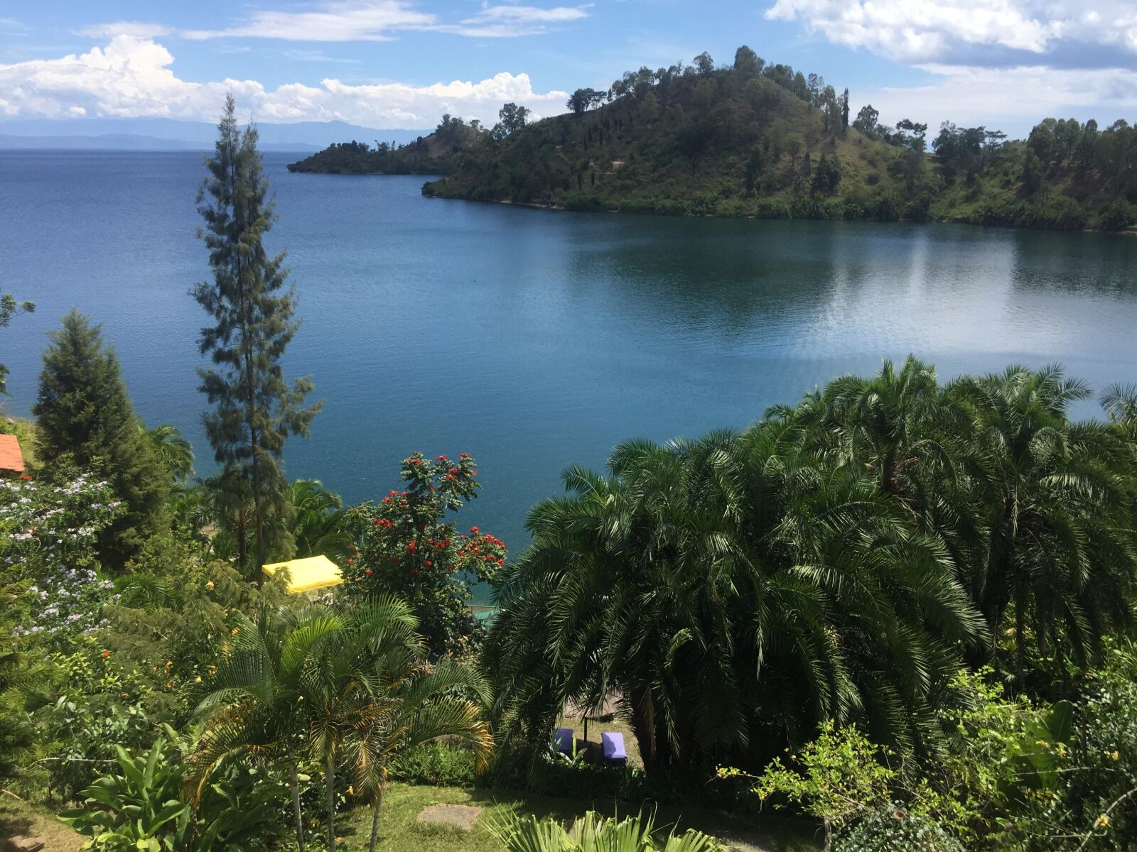 iPhone 6 Plus back camera 4.15mm f/2.2 sample photo. Wilderness, africa, nature photography