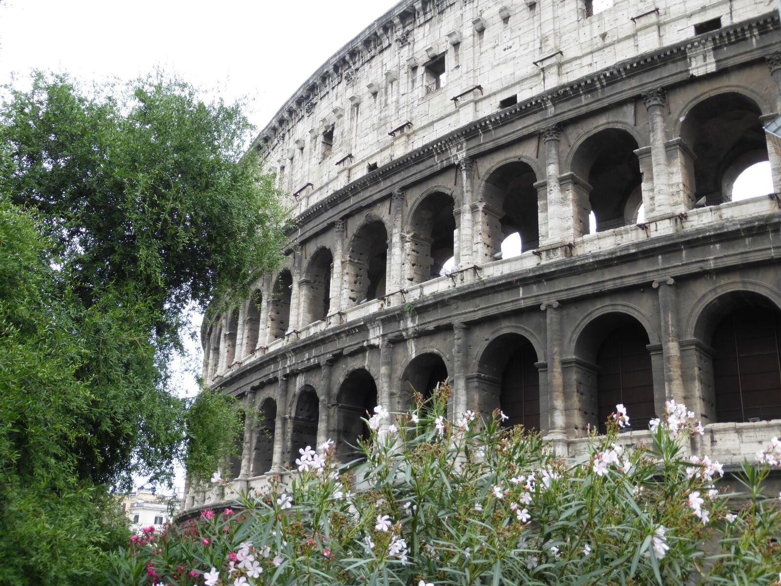 Panasonic Lumix DMC-ZS25 (Lumix DMC-TZ35) sample photo. Rome, ruins, colosseum photography