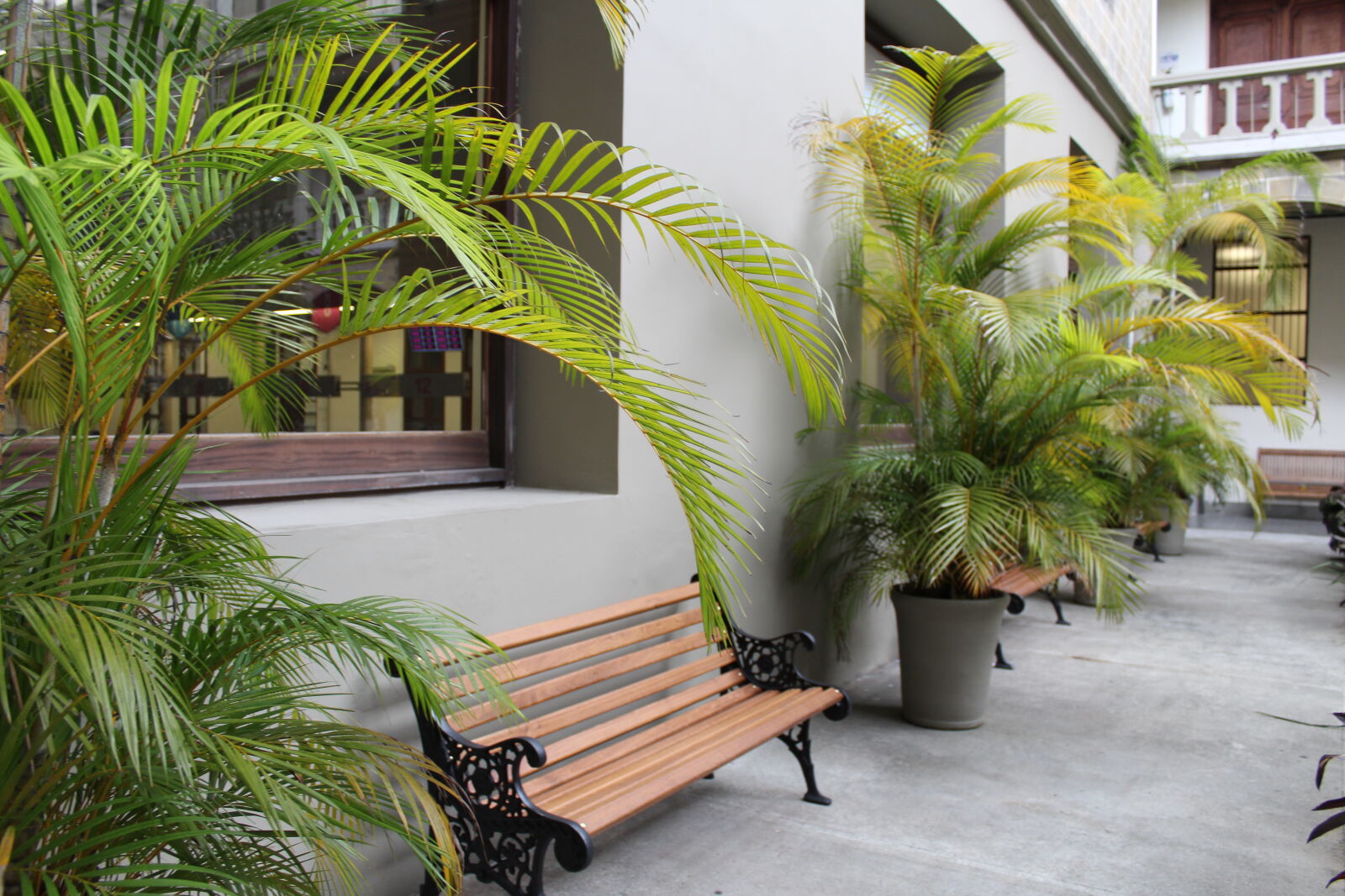 Canon EOS 1300D (EOS Rebel T6 / EOS Kiss X80) sample photo. Bench, nature, park, pot photography