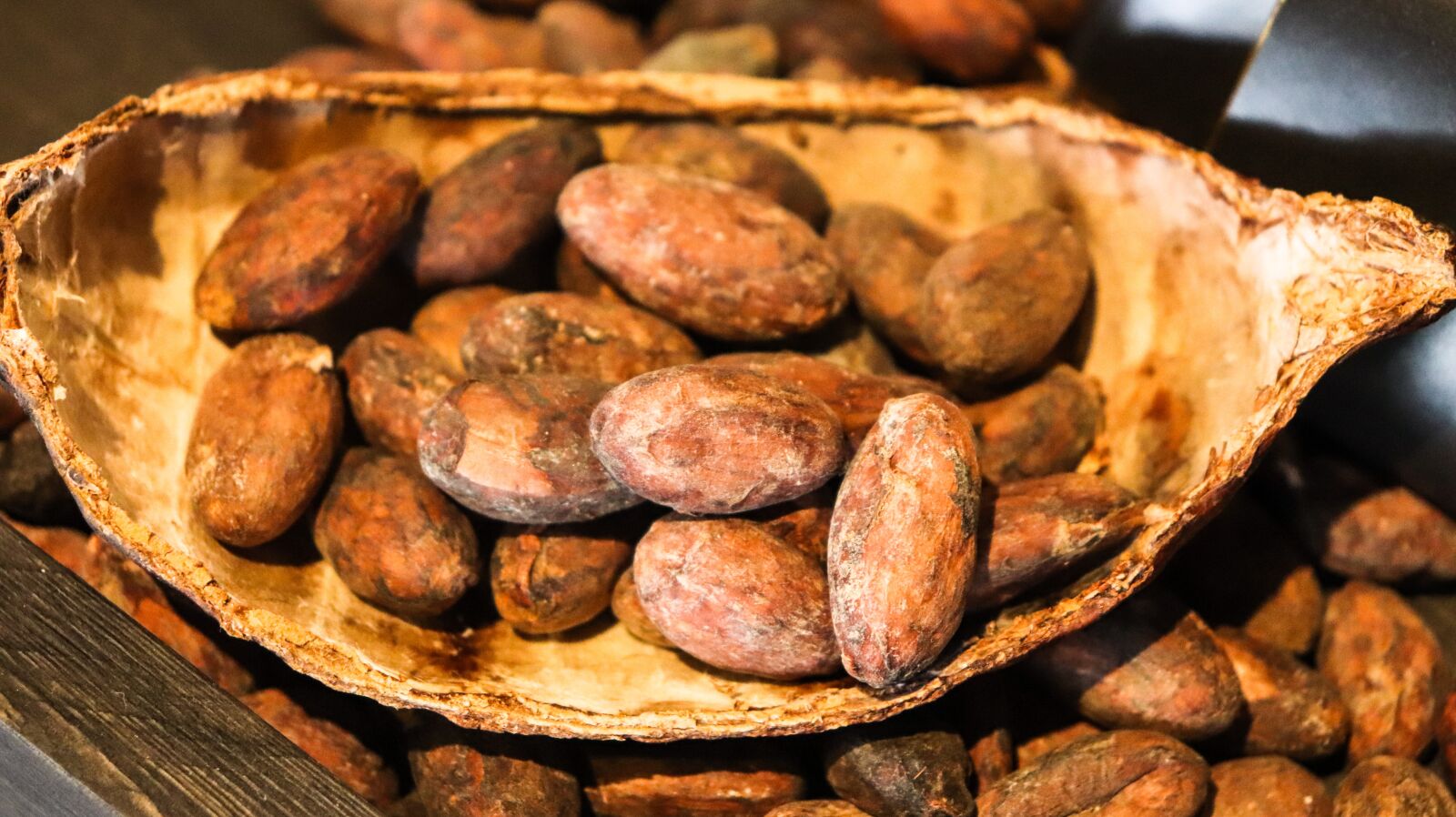 Canon EOS 200D (EOS Rebel SL2 / EOS Kiss X9) sample photo. Cacao, cocoa, chocolate photography