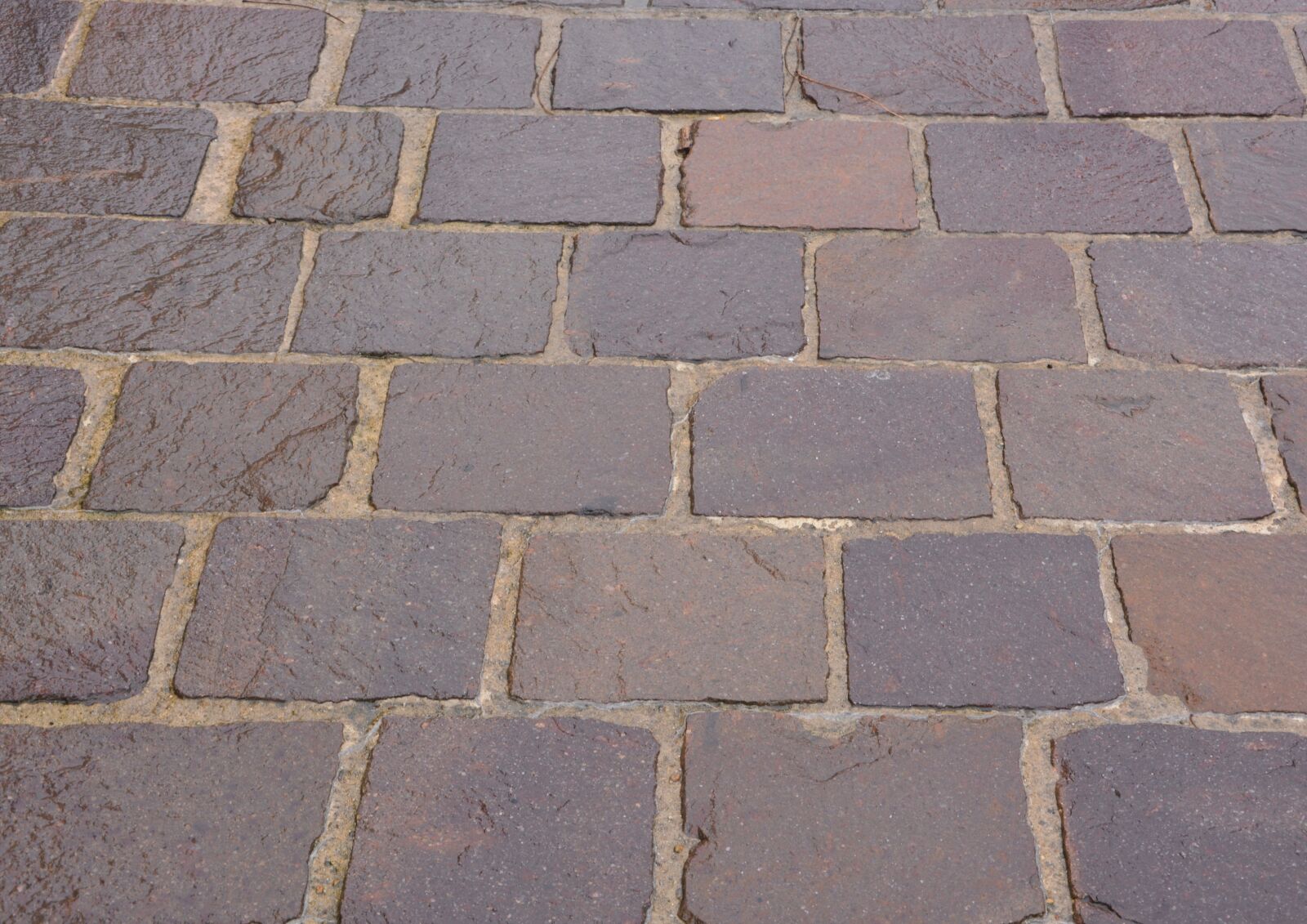 Nikon D5200 sample photo. Pavers, stones, soil photography