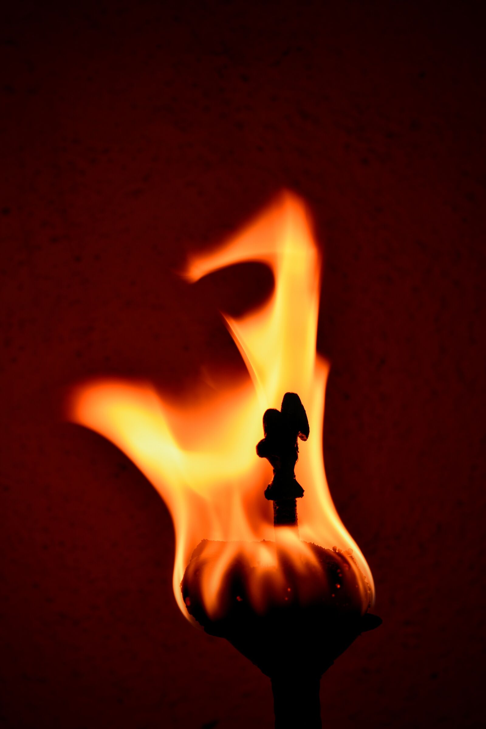Nikon D5600 sample photo. Flame, fire, yellow photography