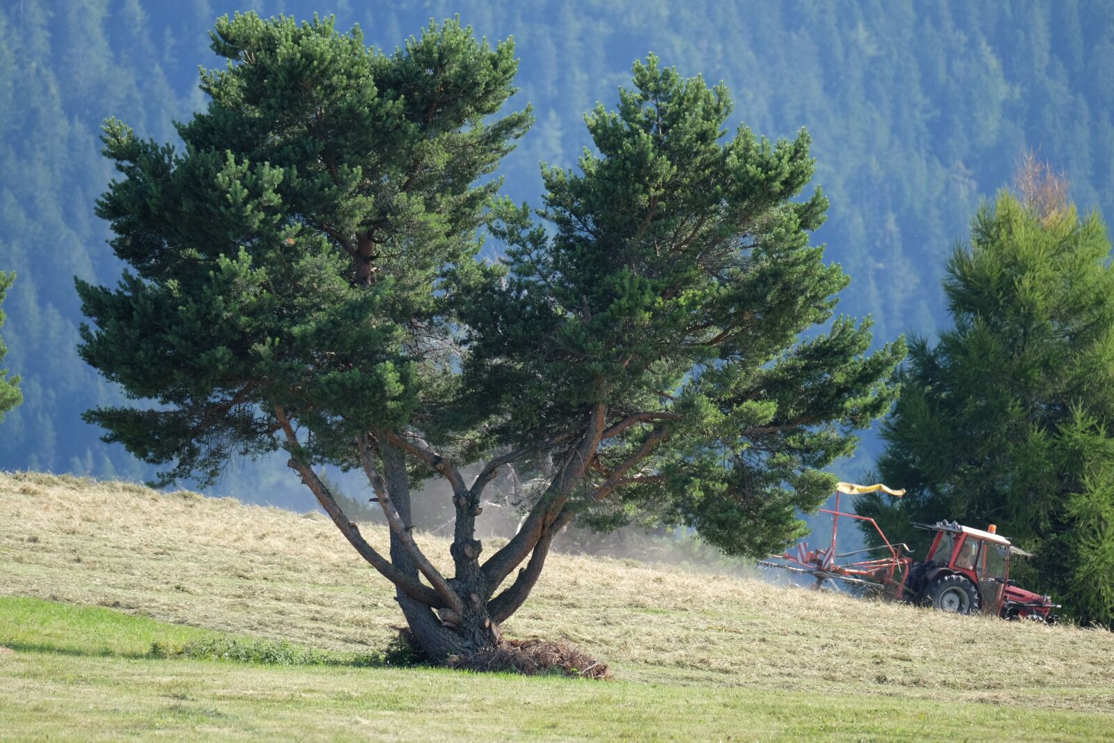 Fujifilm X-T1 + Fujifilm XF 100-400mm F4.5-5.6 R LM OIS WR sample photo. Trees, mountain, tranquility photography