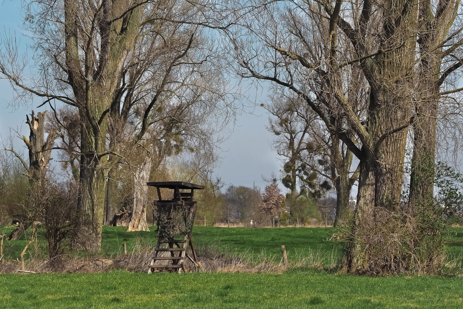 Olympus OM-D E-M10 sample photo. Landscape, meadowlands, trees photography