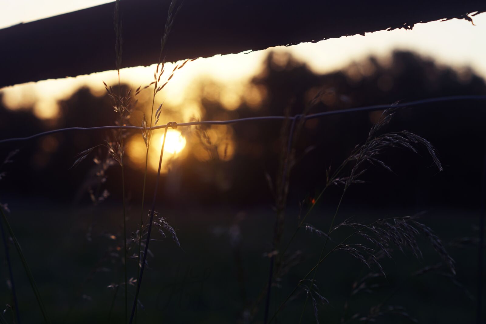 Sony SLT-A68 + Sony DT 50mm F1.8 SAM sample photo. Sunset, evening, dusk photography