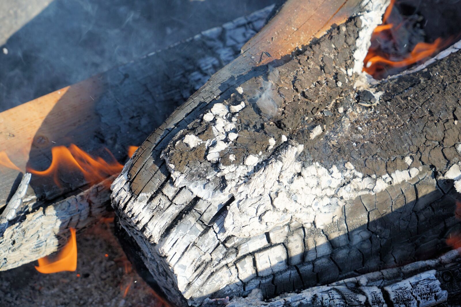 Sony a7 II + Sony Vario Tessar T* FE 24-70mm F4 ZA OSS sample photo. Campfire, fire, flame photography