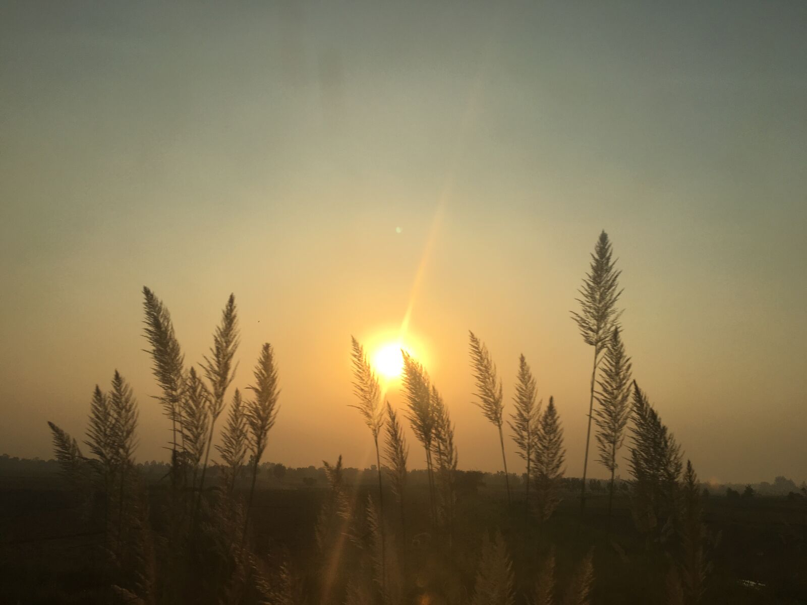 Apple iPhone 6s sample photo