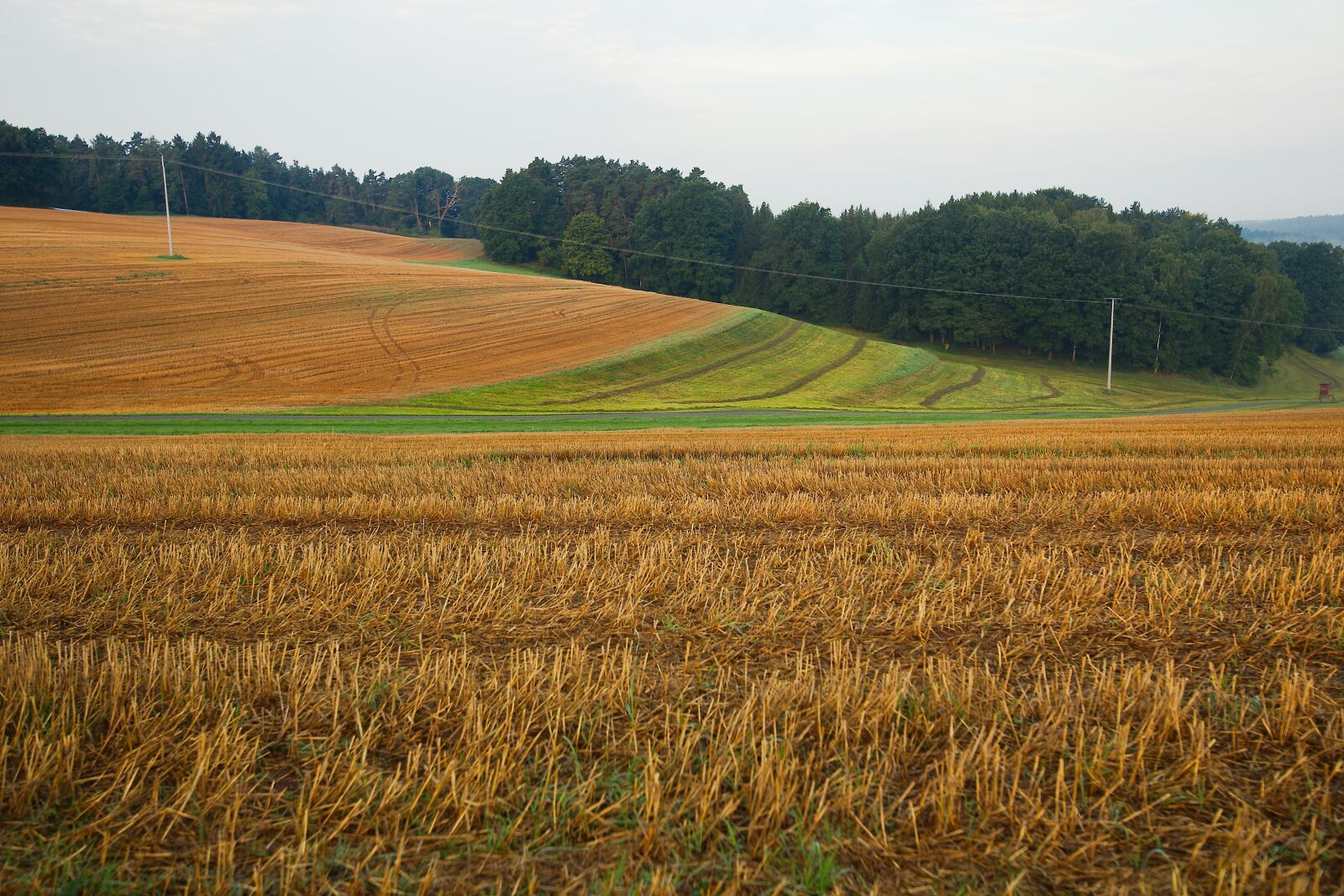 Canon EOS 6D sample photo. Agriculture, field, harvest photography