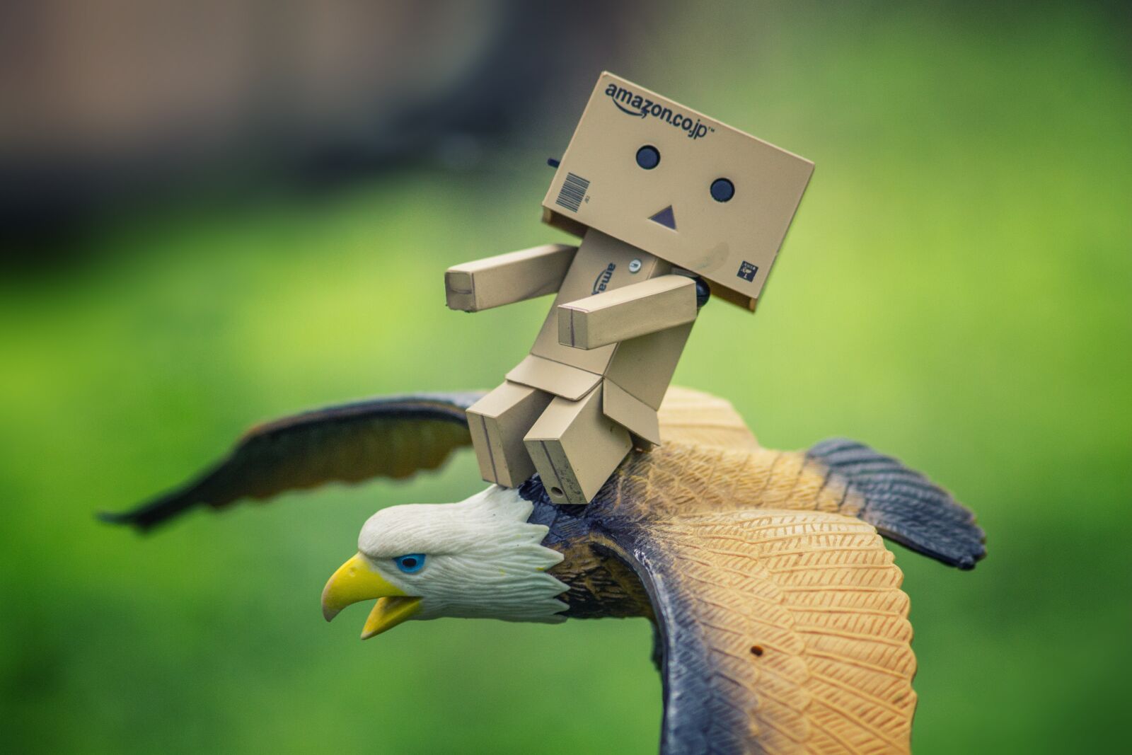 Canon EOS 1100D (EOS Rebel T3 / EOS Kiss X50) sample photo. Danbo, toy, flight photography