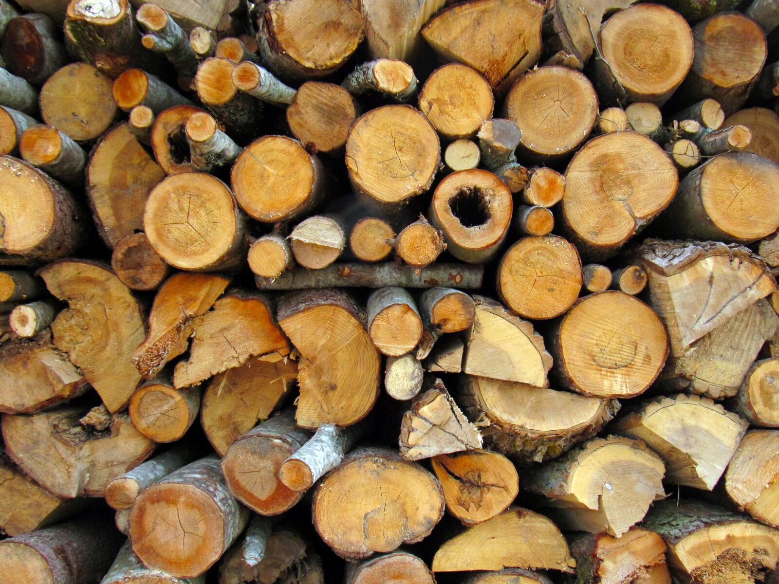 Canon PowerShot SX520 HS sample photo. Firewood, pile, wood photography