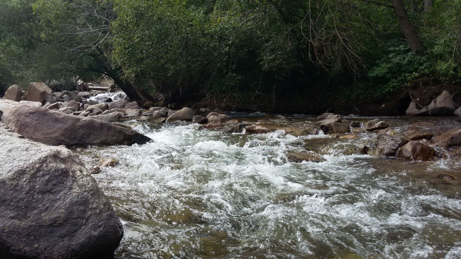 Samsung Galaxy S5 Mini sample photo. Nature, river photography