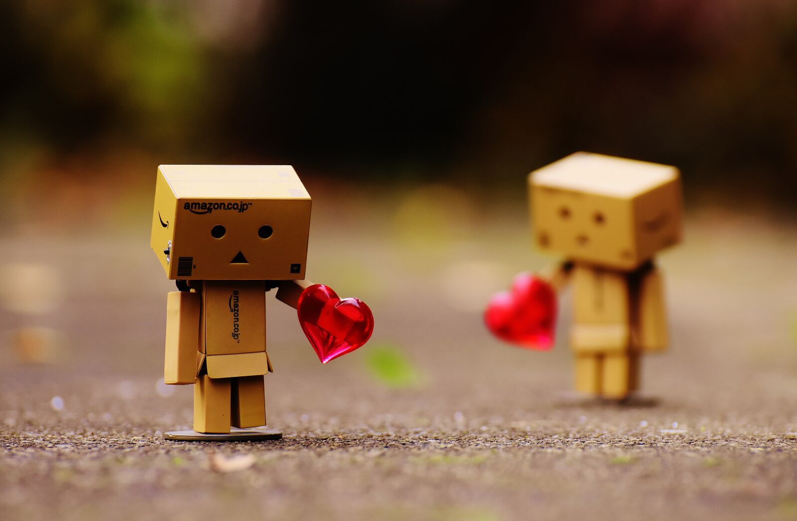 Nikon D7200 sample photo. Danbo, figures, love photography