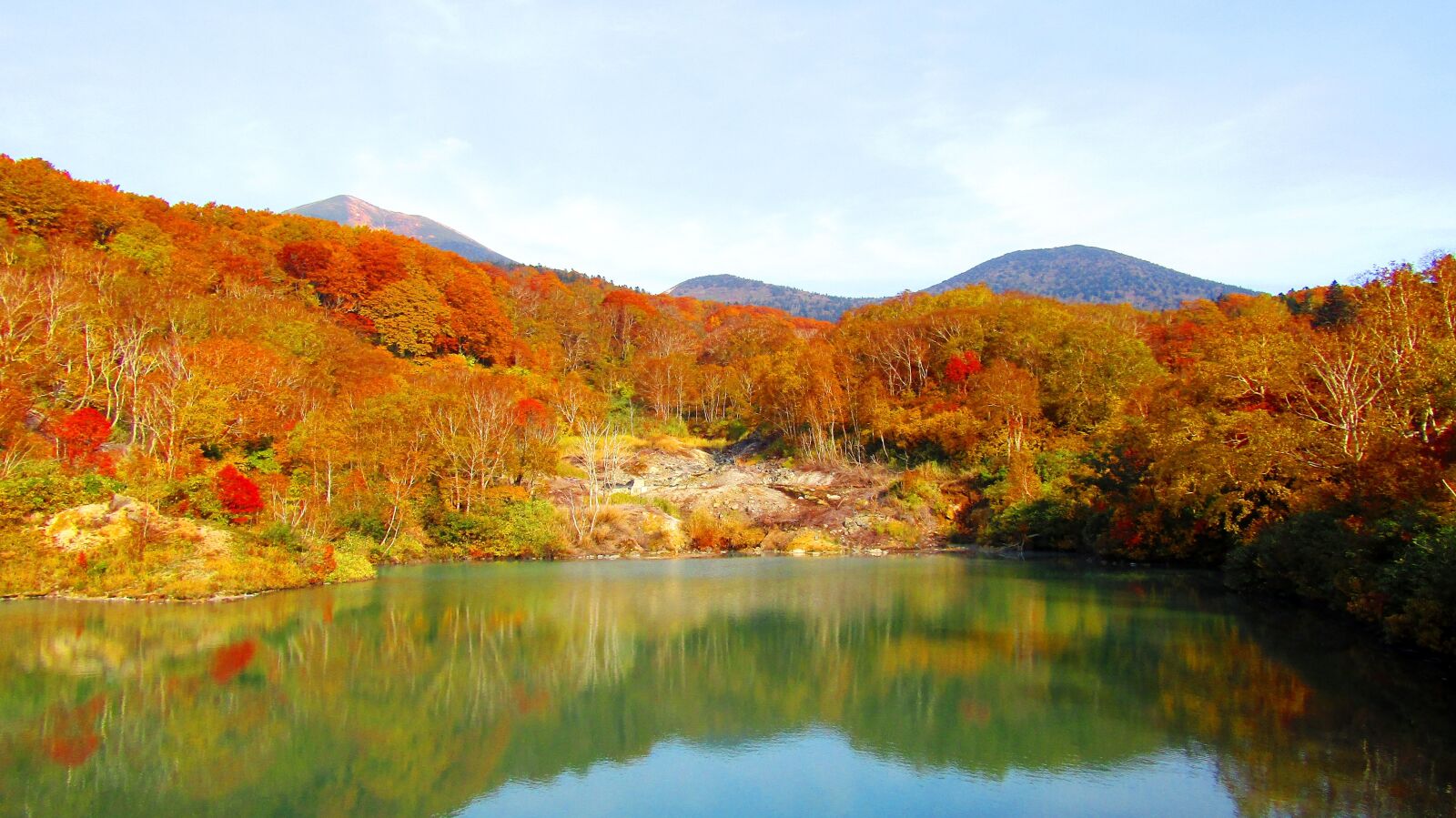 Canon PowerShot SX410 IS sample photo. Autumn, sky, autumnal leaves photography