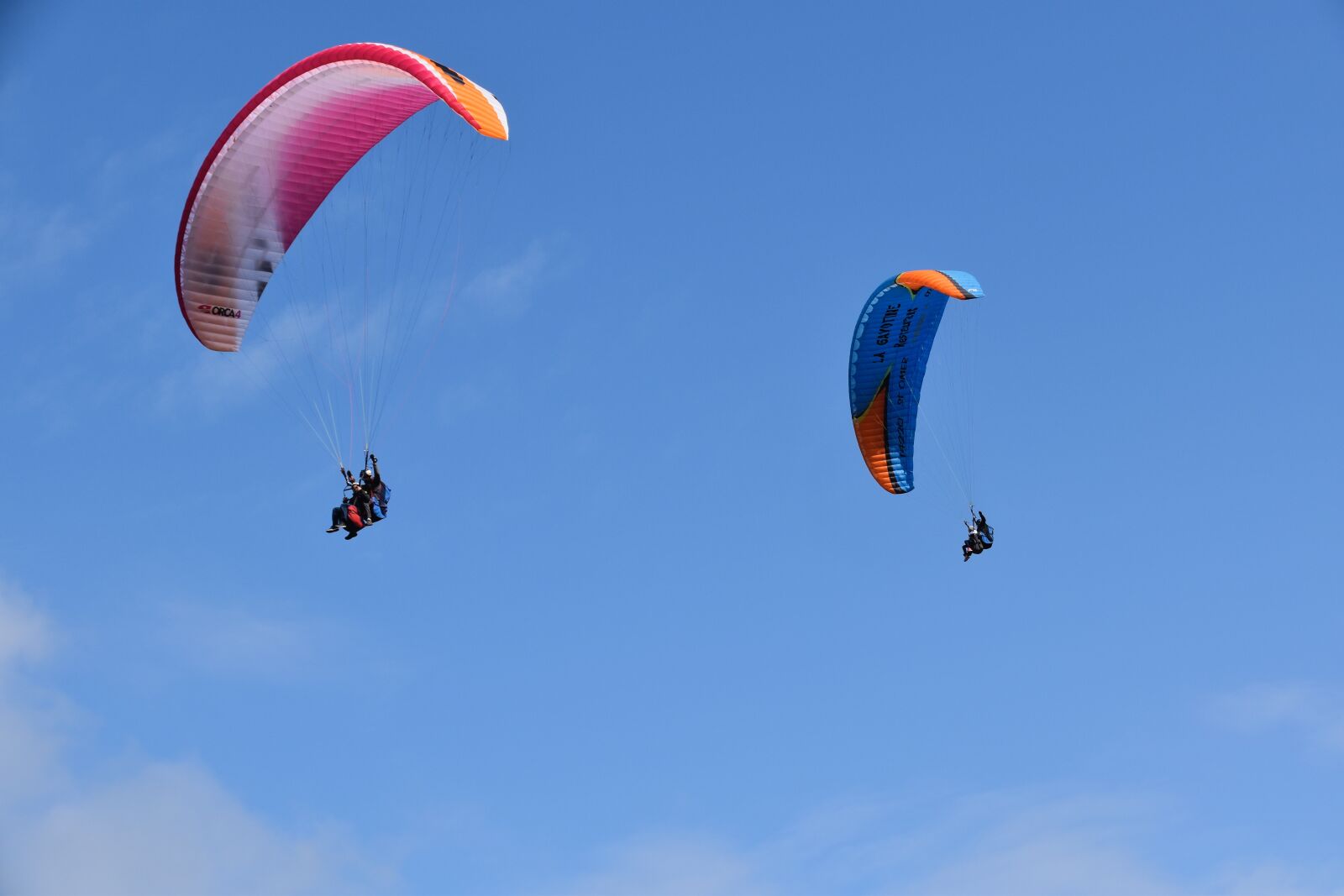 Nikon D5600 sample photo. Paragliders, aircraft, free flight photography