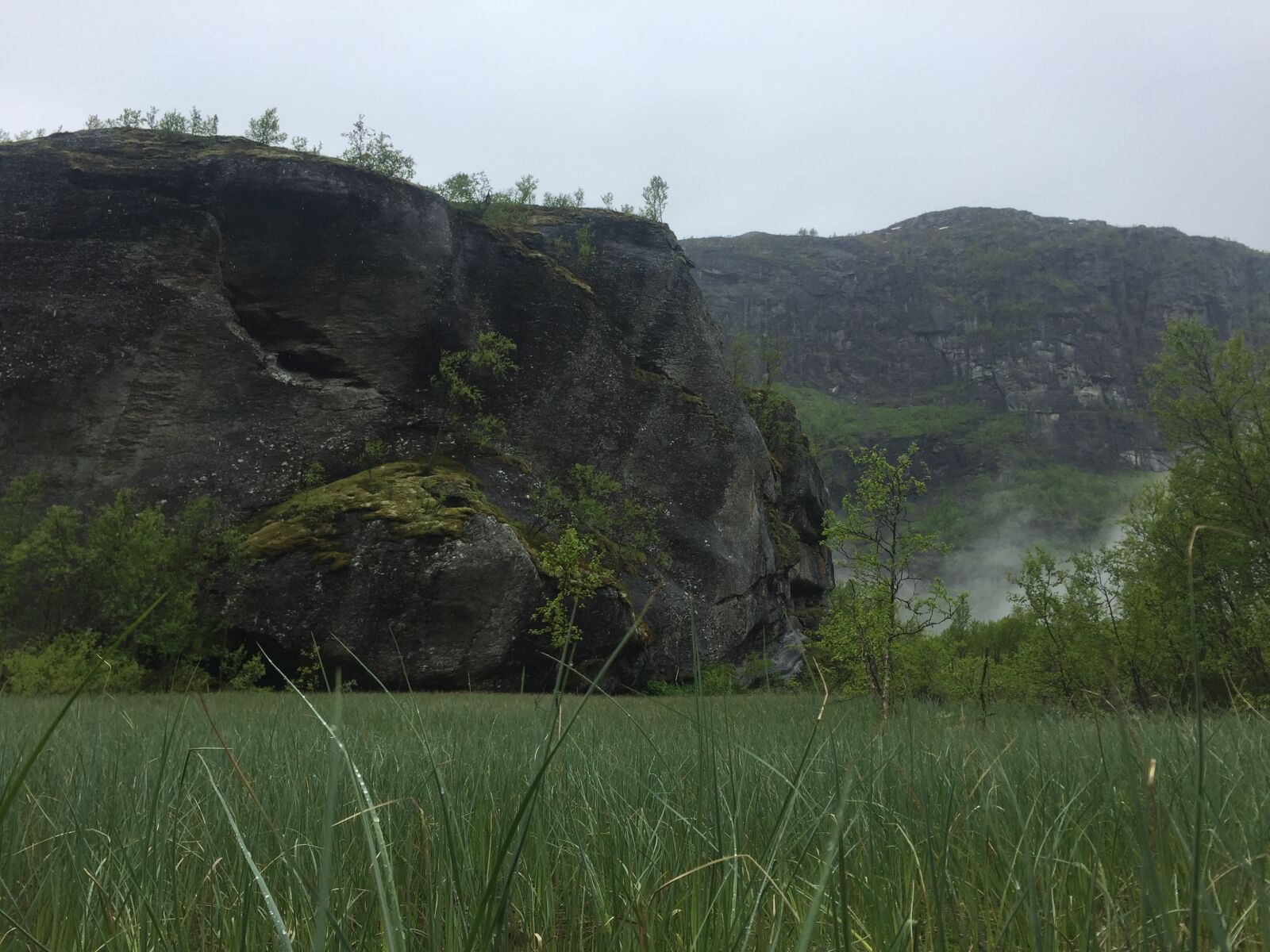 Apple iPhone 6 sample photo. Aurlandsdalen, grass, mountains, nature photography