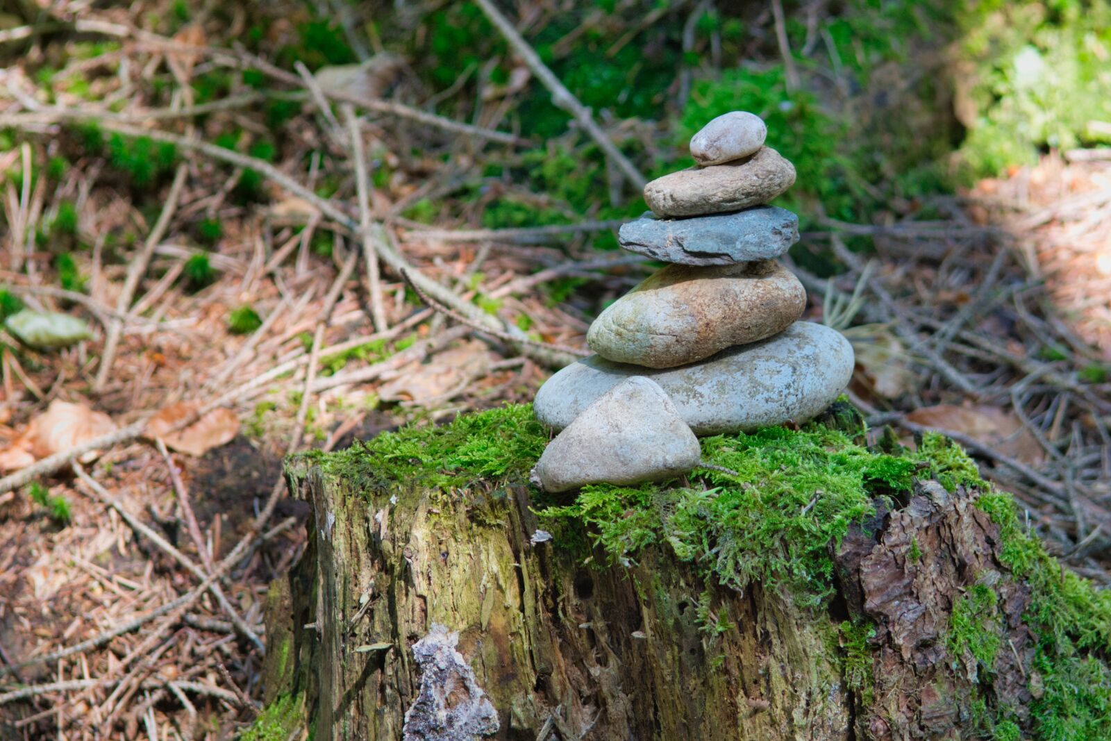 Nikon D7500 sample photo. Cairn, figure, stone photography