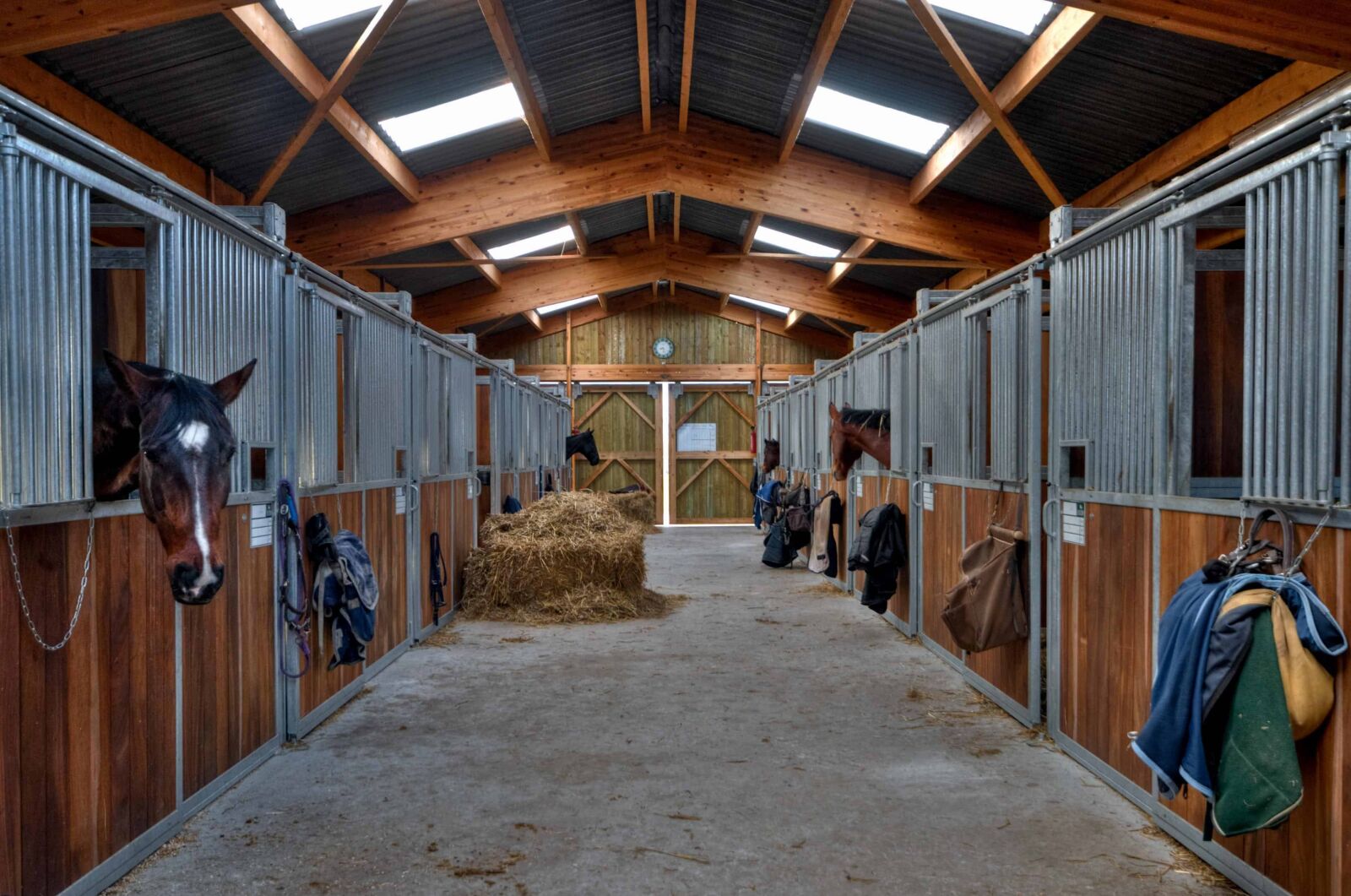 Nikon D300 sample photo. Horse, barn, hay, animal photography