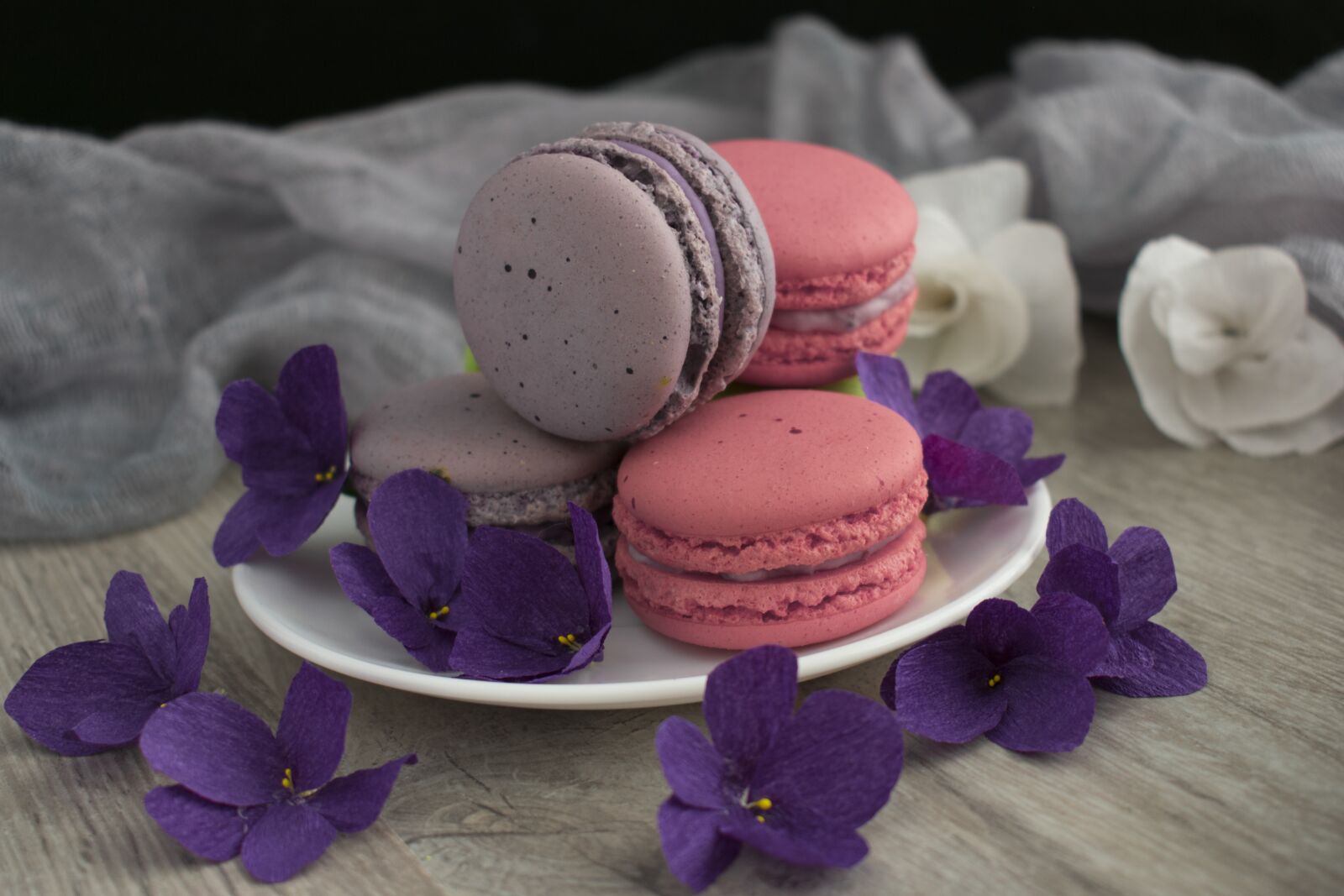 Nikon D3400 sample photo. Macaroons, macro, cookies photography