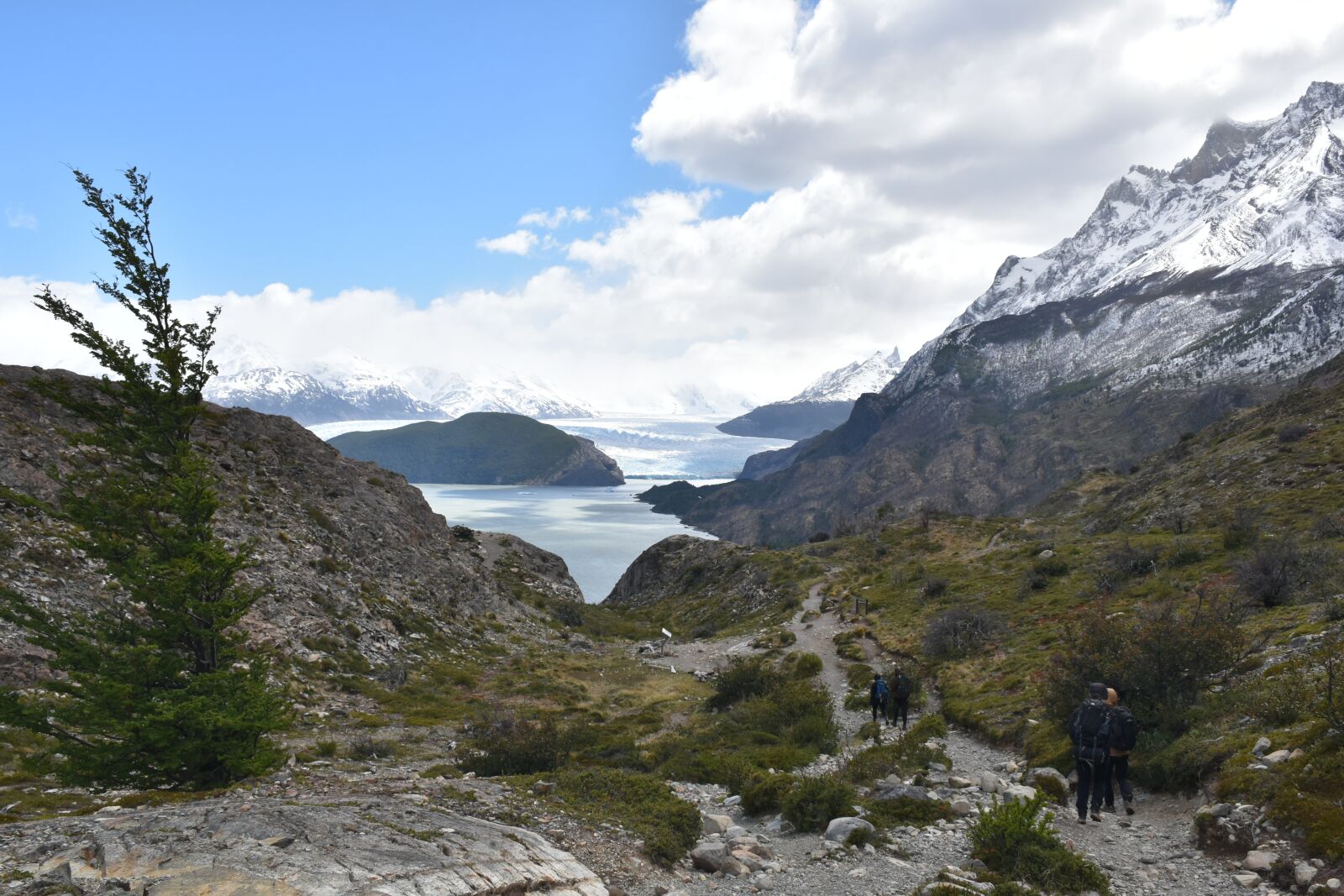 Nikon D5500 sample photo. Patagonia, torres del paine photography