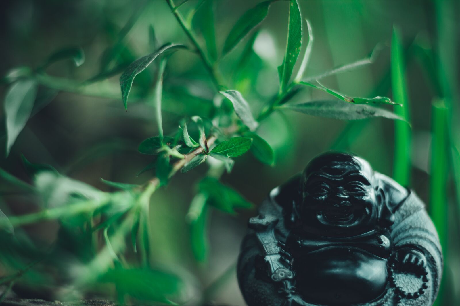 Canon EOS 600D (Rebel EOS T3i / EOS Kiss X5) + Canon EF 50mm F1.8 STM sample photo. Religion, buddha, china photography